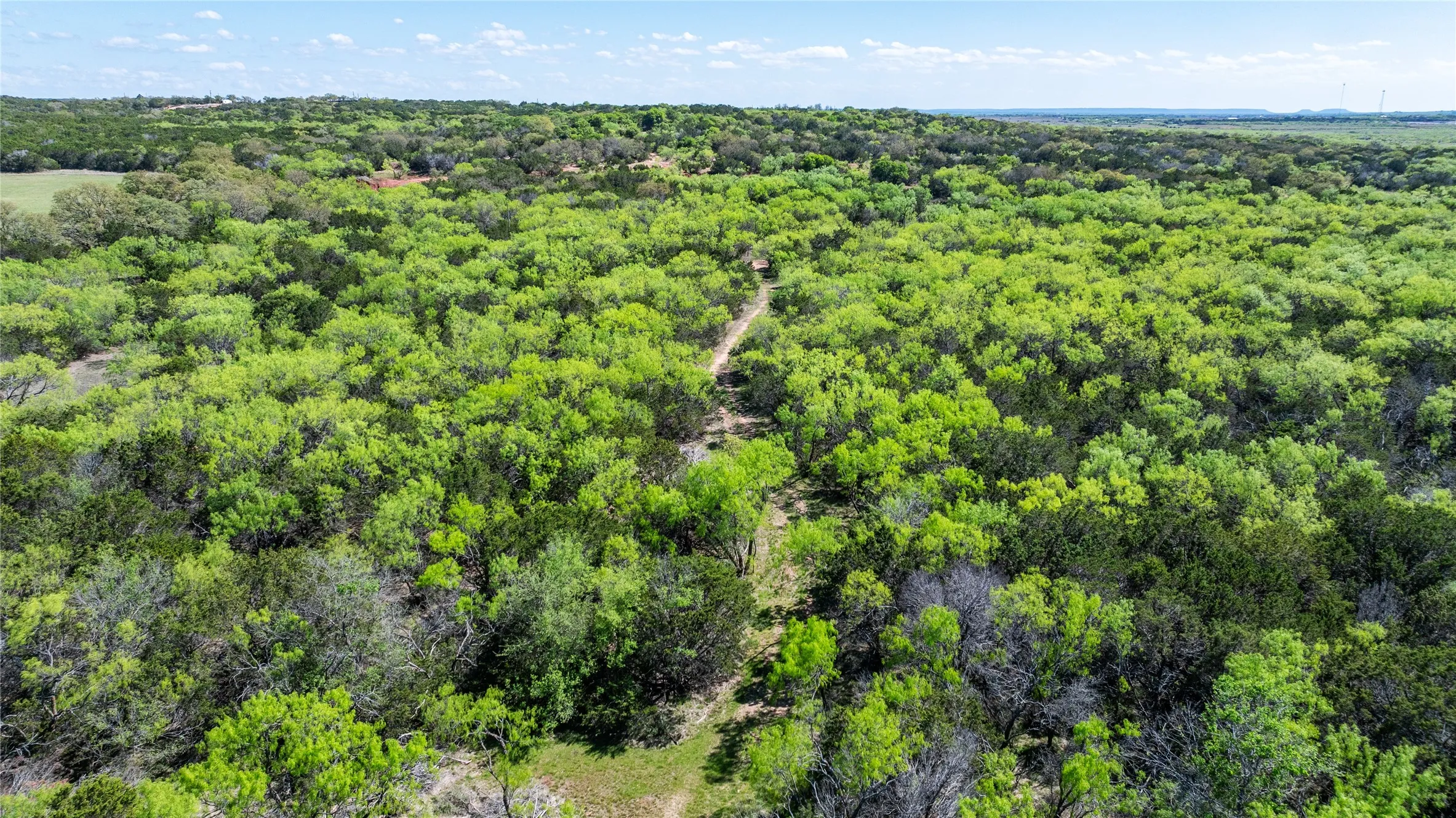 Unimproved Land For Sale in Taylor County , TBD County Road 150, Tuscola, Texas 79562, 0, 0, Garage spaces, 0 Sqft, built in 0, Price $621,000, mls#21232121, Real Estate Agent in Tuscola, Homes For Sale in Taylor county, Homes For Sale in Tuscola, Realtor in Tuscola Texas, Real Estate Brokerage Independent Realty Texas, Luminita Cordes Realtor