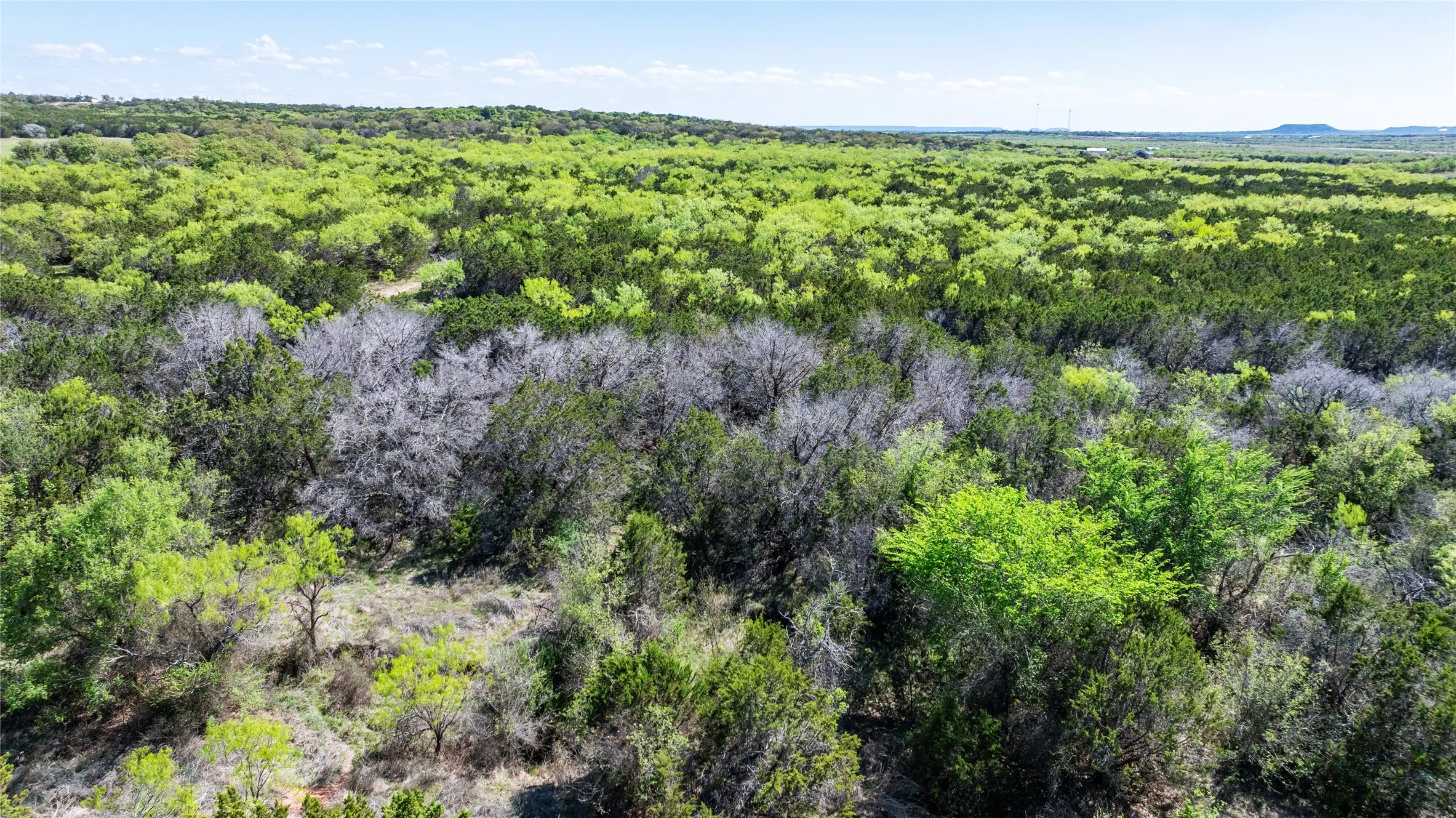 Unimproved Land For Sale in Taylor County , TBD County Road 150, Tuscola, Texas 79562, 0, 0, Garage spaces, 0 Sqft, built in 0, Price $621,000, mls#21232121, Real Estate Agent in Tuscola, Homes For Sale in Taylor county, Homes For Sale in Tuscola, Realtor in Tuscola Texas, Real Estate Brokerage Independent Realty Texas, Luminita Cordes Realtor