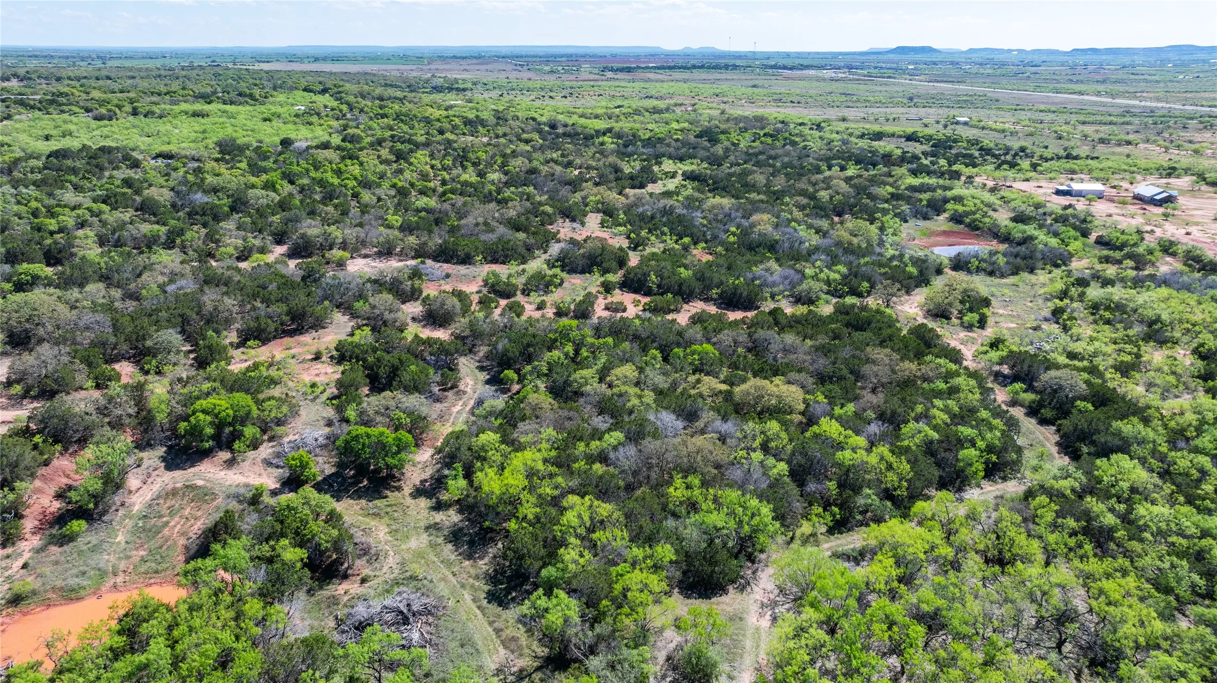 Unimproved Land For Sale in Taylor County , TBD County Road 150, Tuscola, Texas 79562, 0, 0, Garage spaces, 0 Sqft, built in 0, Price $621,000, mls#21232121, Real Estate Agent in Tuscola, Homes For Sale in Taylor county, Homes For Sale in Tuscola, Realtor in Tuscola Texas, Real Estate Brokerage Independent Realty Texas, Luminita Cordes Realtor