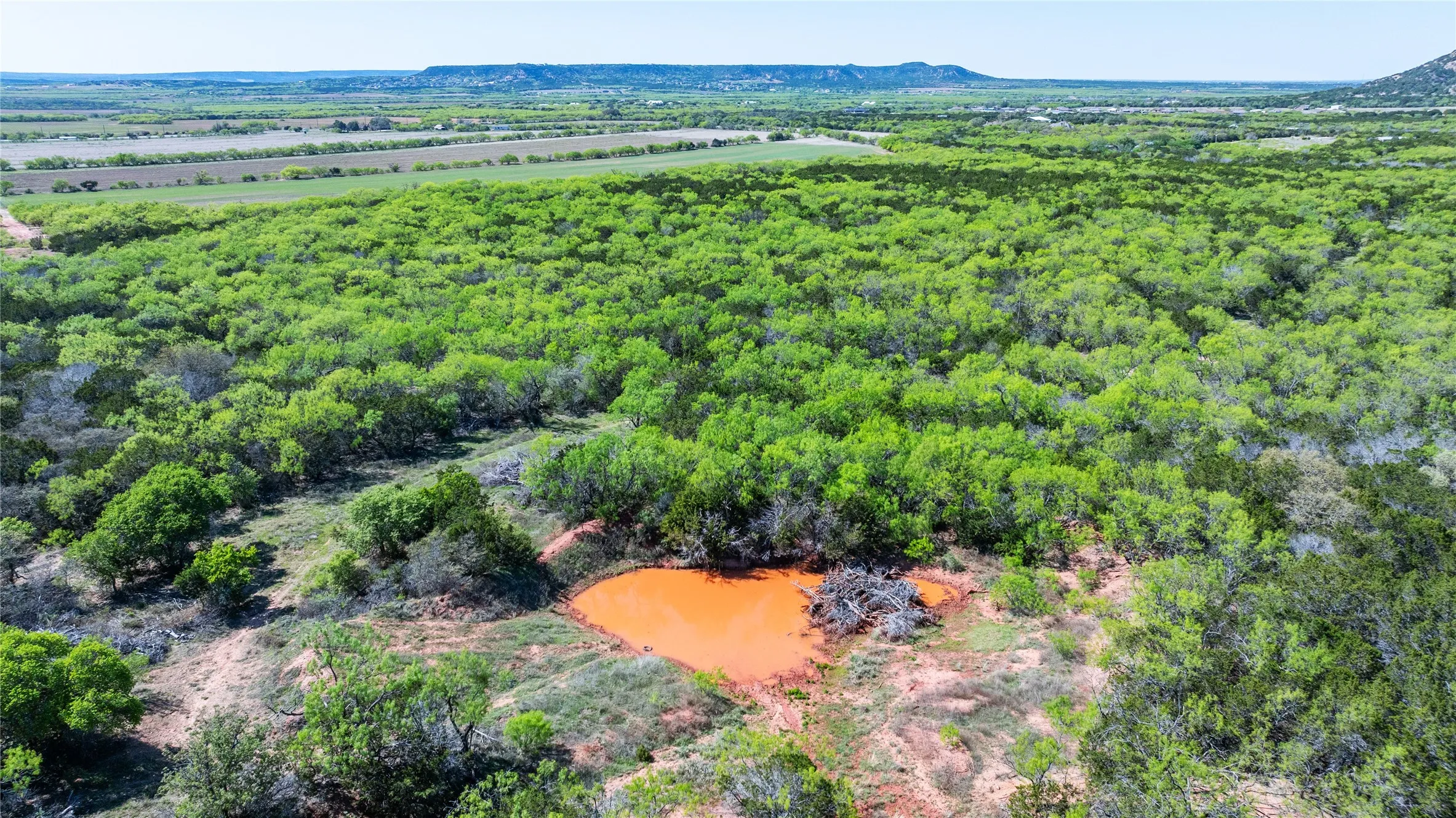 Unimproved Land For Sale in Taylor County , TBD County Road 150, Tuscola, Texas 79562, 0, 0, Garage spaces, 0 Sqft, built in 0, Price $621,000, mls#21232121, Real Estate Agent in Tuscola, Homes For Sale in Taylor county, Homes For Sale in Tuscola, Realtor in Tuscola Texas, Real Estate Brokerage Independent Realty Texas, Luminita Cordes Realtor