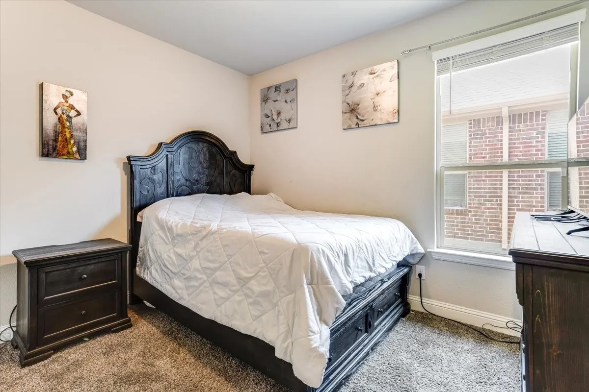 Plush carpeting, a single window with blinds, and light-toned walls