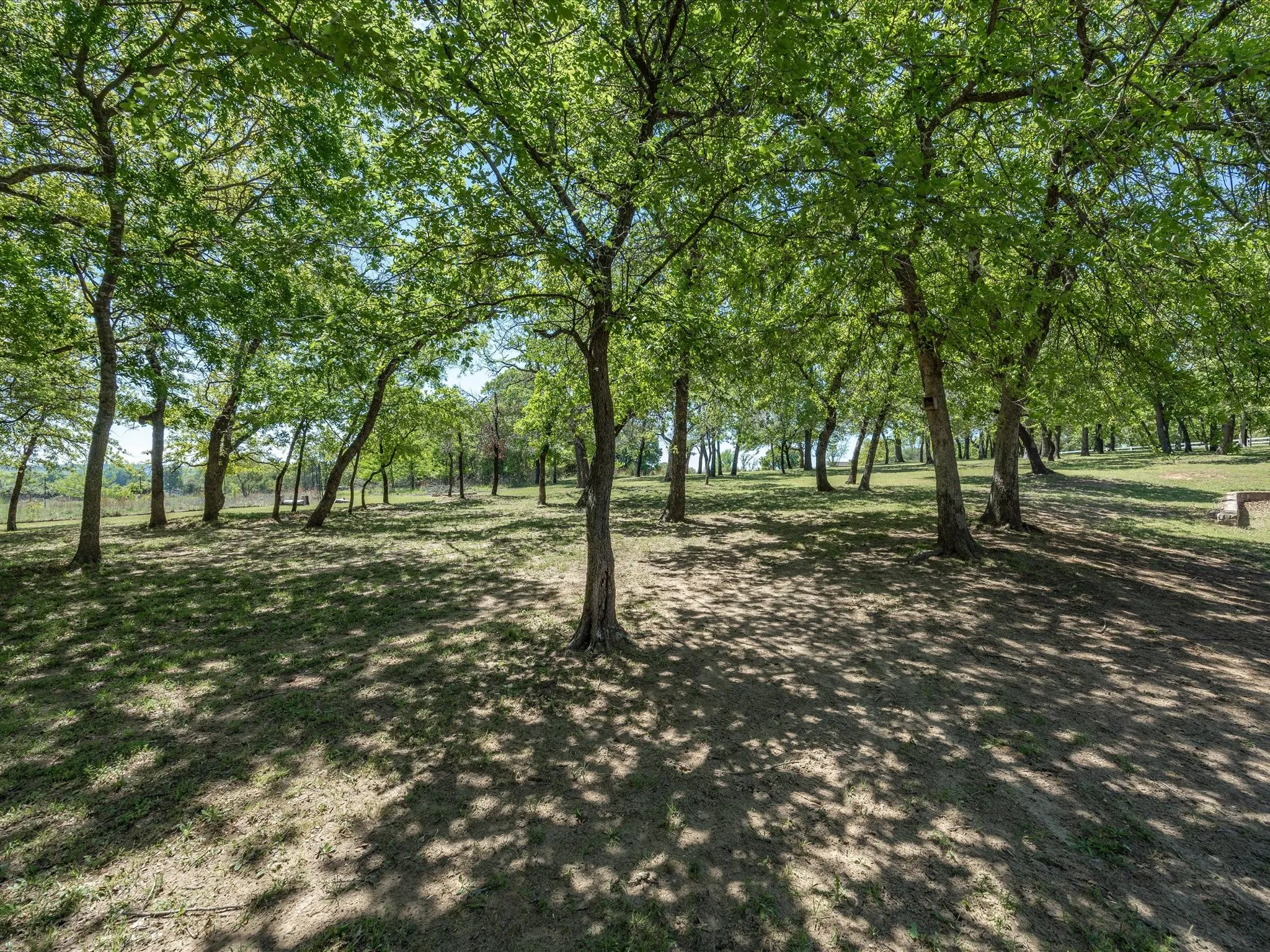 Single Family Residence For Sale in Parker County , 104 Lariat Court, Azle, Texas 76020, 4 Bedroom, 3 Bathroom, 3 Garage spaces, 3,469 Sqft, built in 2007, Preowned, mls#21232281, Real Estate Agent in Azle, Homes For Sale in Parker county, Homes For Sale in Azle, Realtor in Azle Texas, Real Estate Brokerage Independent Realty Texas, Luminita Cordes Realtor