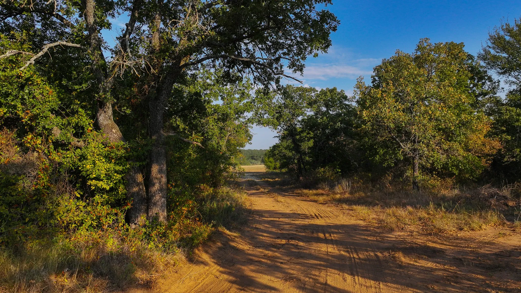 Ranch For Sale in Young County , 000 Rocky Mound, Graham, Texas 76450, 0, 0, Garage spaces, 0 Sqft, built in 0, mls#21234193, Real Estate Agent in Graham, Homes For Sale in Young county, Homes For Sale in Graham, Realtor in Graham Texas, Real Estate Brokerage Independent Realty Texas, Luminita Cordes Realtor