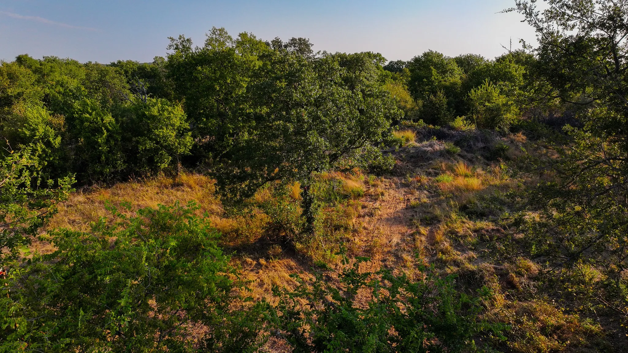 Ranch For Sale in Young County , 000 Rocky Mound, Graham, Texas 76450, 0, 0, Garage spaces, 0 Sqft, built in 0, mls#21234193, Real Estate Agent in Graham, Homes For Sale in Young county, Homes For Sale in Graham, Realtor in Graham Texas, Real Estate Brokerage Independent Realty Texas, Luminita Cordes Realtor