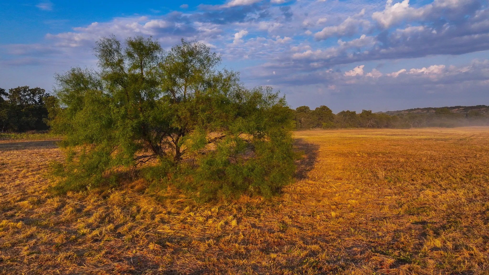 Ranch For Sale in Young County , 000 Rocky Mound, Graham, Texas 76450, 0, 0, Garage spaces, 0 Sqft, built in 0, mls#21234193, Real Estate Agent in Graham, Homes For Sale in Young county, Homes For Sale in Graham, Realtor in Graham Texas, Real Estate Brokerage Independent Realty Texas, Luminita Cordes Realtor