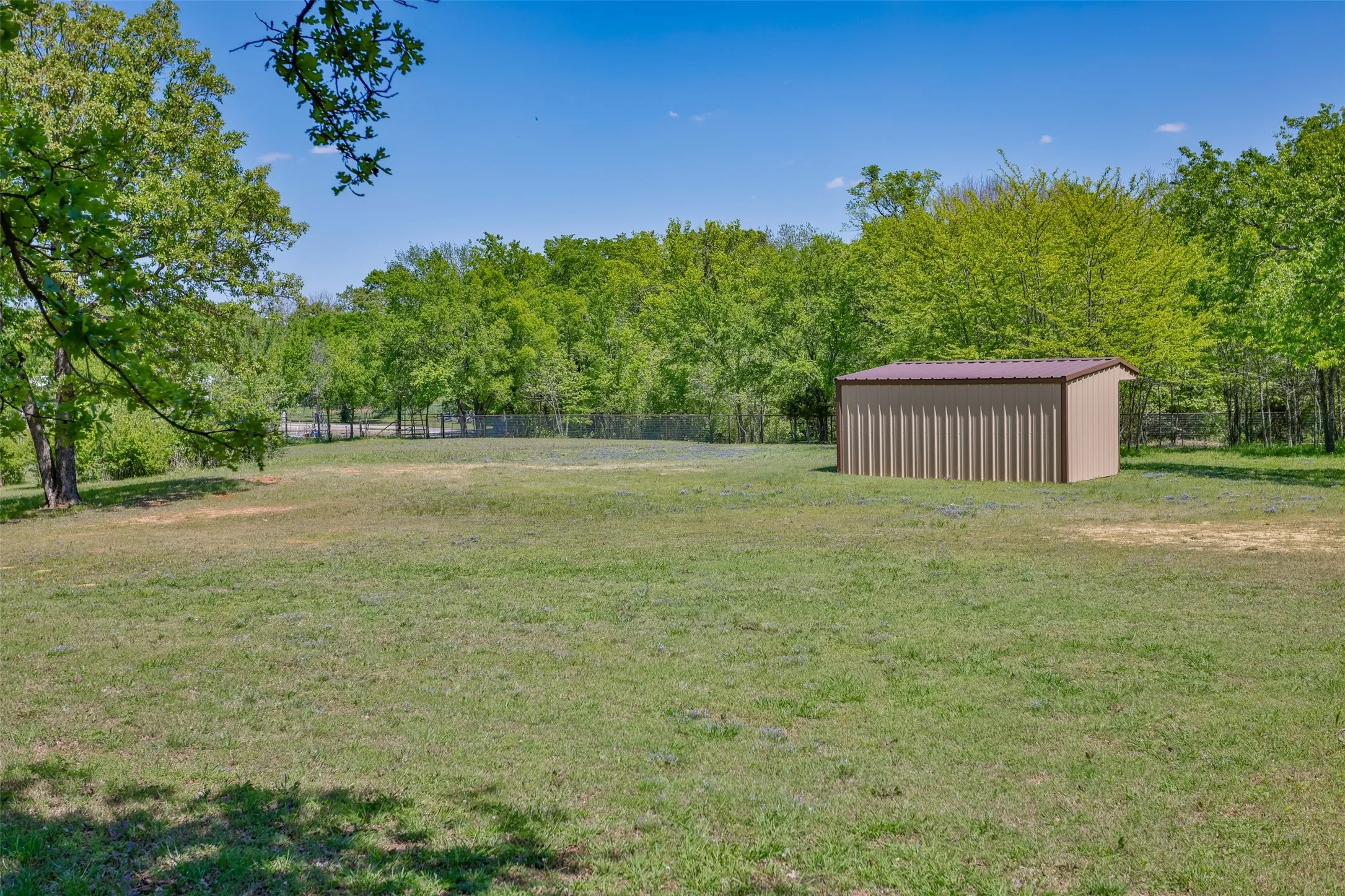 Yard and Outbuilding