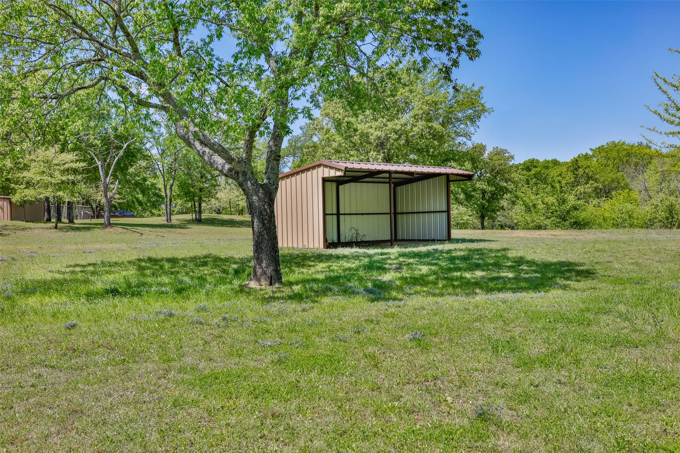 Loaf Shed