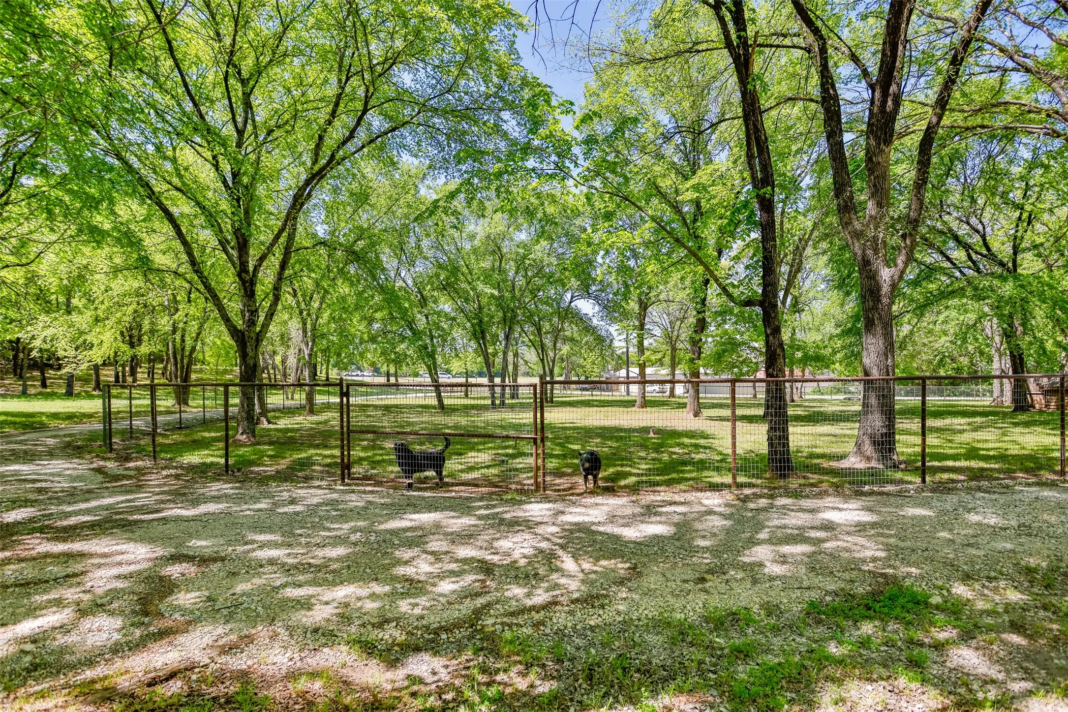 Yard with pipe no climb fencing and cicle driveway