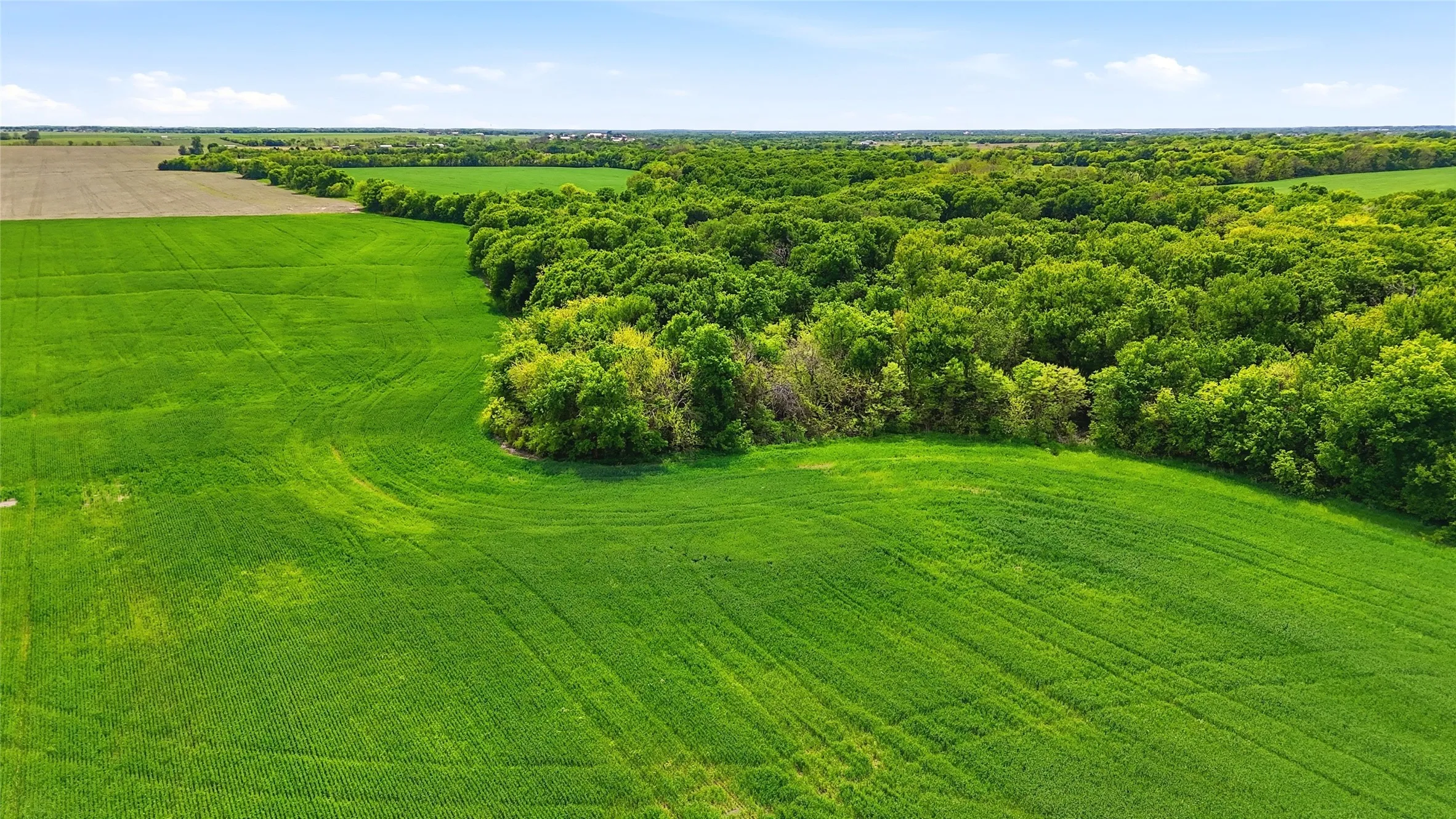 Unimproved Land For Sale in Grayson County , TBD Davis Road, Whitesboro, Texas 76273, 0, 0, Garage spaces, 0 Sqft, built in 0, mls#21232417, Real Estate Agent in Whitesboro, Homes For Sale in Grayson county, Homes For Sale in Whitesboro, Realtor in Whitesboro Texas, Real Estate Brokerage Independent Realty Texas, Luminita Cordes Realtor