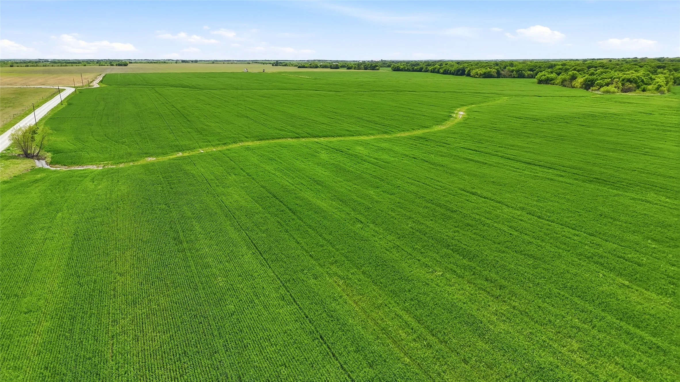 Unimproved Land For Sale in Grayson County , TBD Davis Road, Whitesboro, Texas 76273, 0, 0, Garage spaces, 0 Sqft, built in 0, mls#21232417, Real Estate Agent in Whitesboro, Homes For Sale in Grayson county, Homes For Sale in Whitesboro, Realtor in Whitesboro Texas, Real Estate Brokerage Independent Realty Texas, Luminita Cordes Realtor