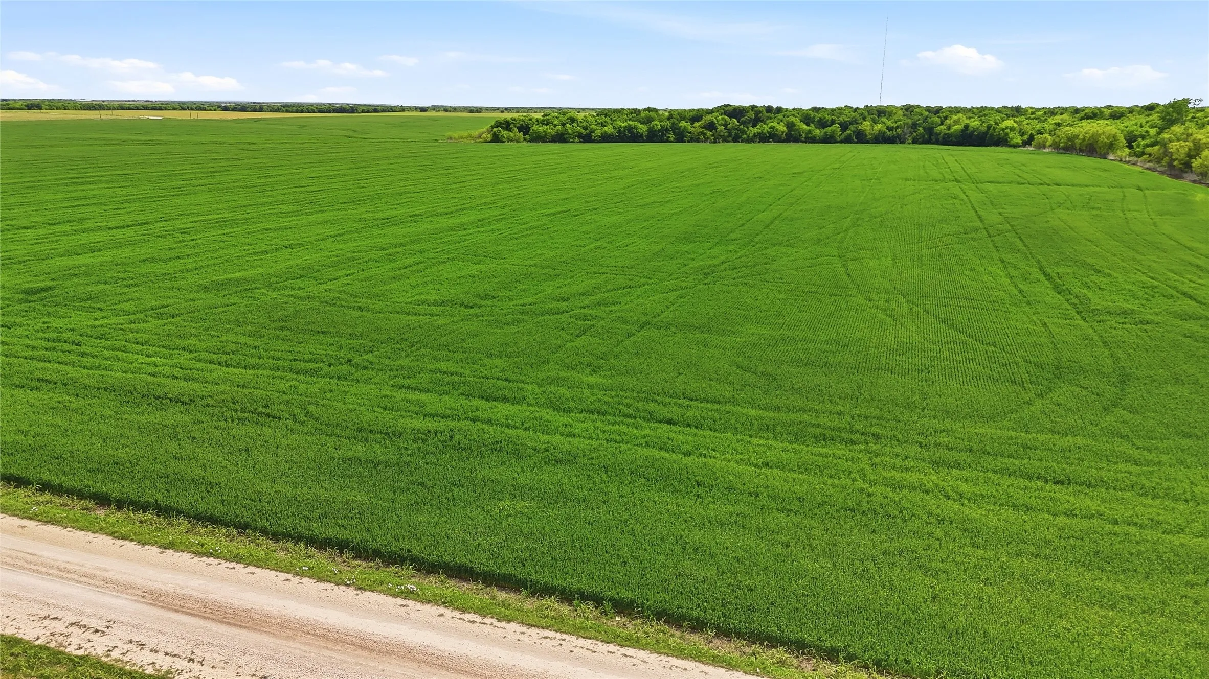 Unimproved Land For Sale in Grayson County , TBD Davis Road, Whitesboro, Texas 76273, 0, 0, Garage spaces, 0 Sqft, built in 0, mls#21232417, Real Estate Agent in Whitesboro, Homes For Sale in Grayson county, Homes For Sale in Whitesboro, Realtor in Whitesboro Texas, Real Estate Brokerage Independent Realty Texas, Luminita Cordes Realtor