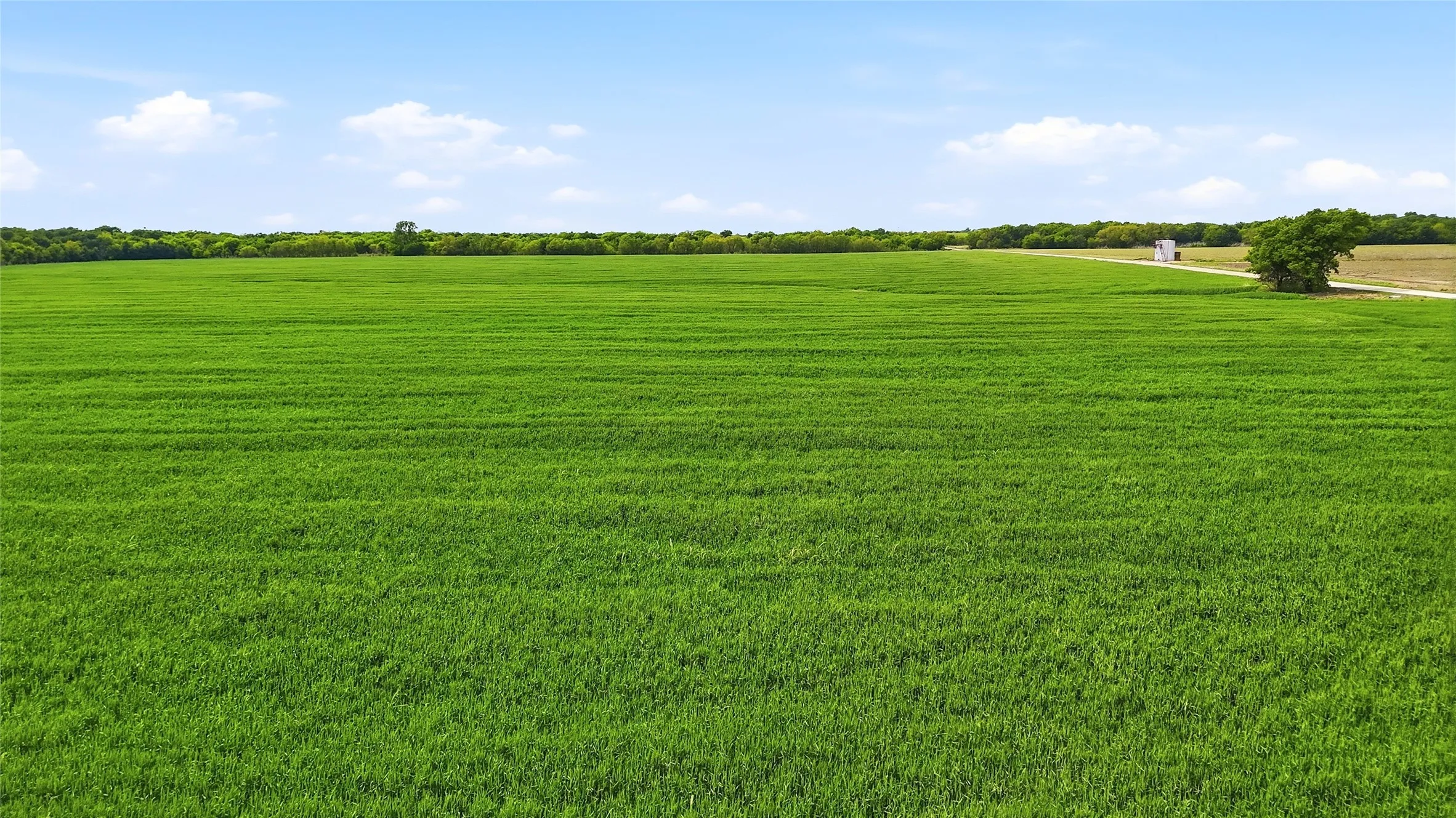 Unimproved Land For Sale in Grayson County , TBD Davis Road, Whitesboro, Texas 76273, 0, 0, Garage spaces, 0 Sqft, built in 0, mls#21232417, Real Estate Agent in Whitesboro, Homes For Sale in Grayson county, Homes For Sale in Whitesboro, Realtor in Whitesboro Texas, Real Estate Brokerage Independent Realty Texas, Luminita Cordes Realtor