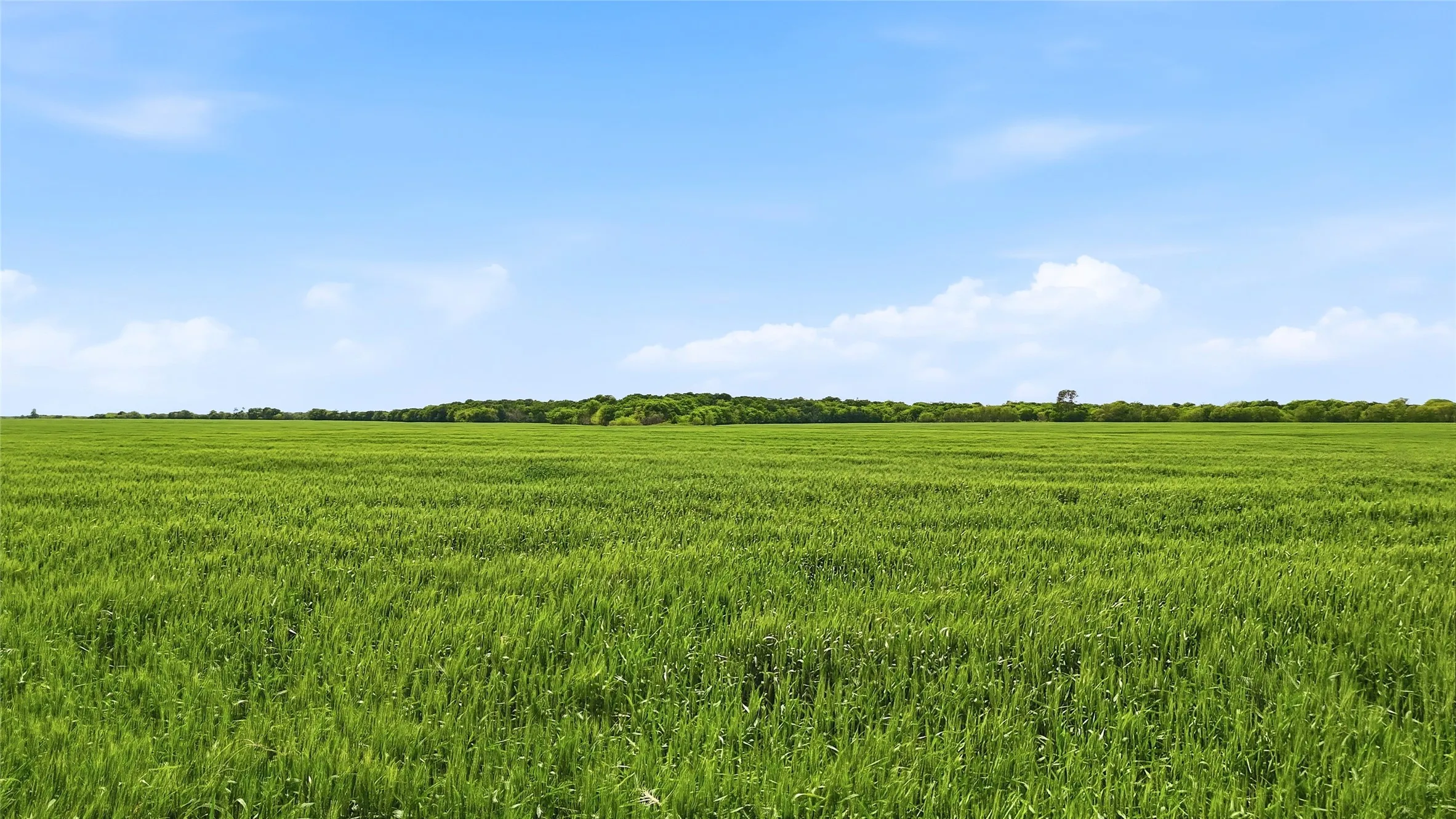 Unimproved Land For Sale in Grayson County , TBD Davis Road, Whitesboro, Texas 76273, 0, 0, Garage spaces, 0 Sqft, built in 0, mls#21232417, Real Estate Agent in Whitesboro, Homes For Sale in Grayson county, Homes For Sale in Whitesboro, Realtor in Whitesboro Texas, Real Estate Brokerage Independent Realty Texas, Luminita Cordes Realtor