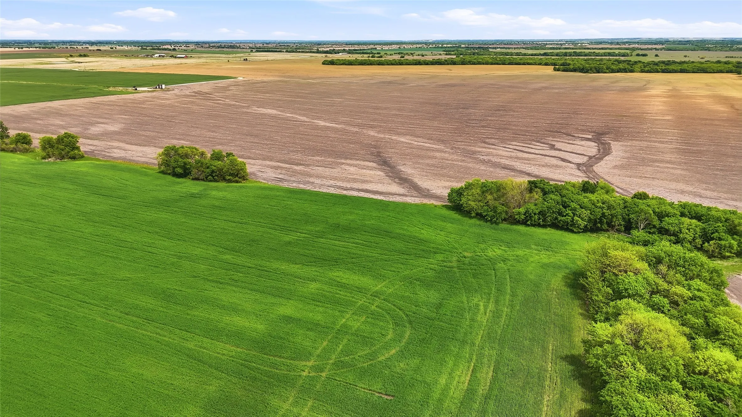 Unimproved Land For Sale in Grayson County , TBD Davis Road, Whitesboro, Texas 76273, 0, 0, Garage spaces, 0 Sqft, built in 0, mls#21232417, Real Estate Agent in Whitesboro, Homes For Sale in Grayson county, Homes For Sale in Whitesboro, Realtor in Whitesboro Texas, Real Estate Brokerage Independent Realty Texas, Luminita Cordes Realtor