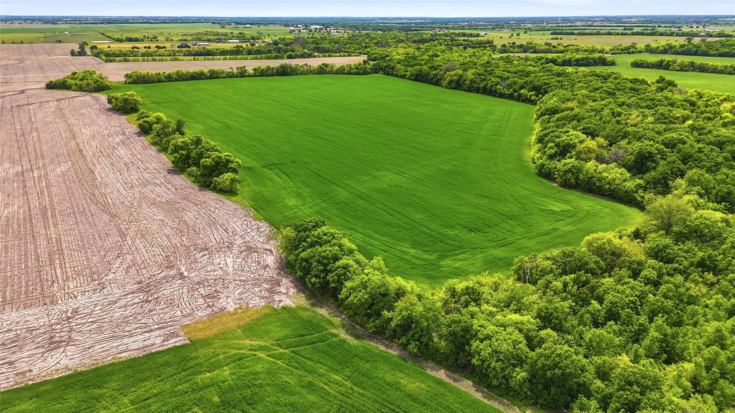 Unimproved Land For Sale in Grayson County , TBD Davis Road, Whitesboro, Texas 76273, 0, 0, Garage spaces, 0 Sqft, built in 0, mls#21232417, Real Estate Agent in Whitesboro, Homes For Sale in Grayson county, Homes For Sale in Whitesboro, Realtor in Whitesboro Texas, Real Estate Brokerage Independent Realty Texas, Luminita Cordes Realtor