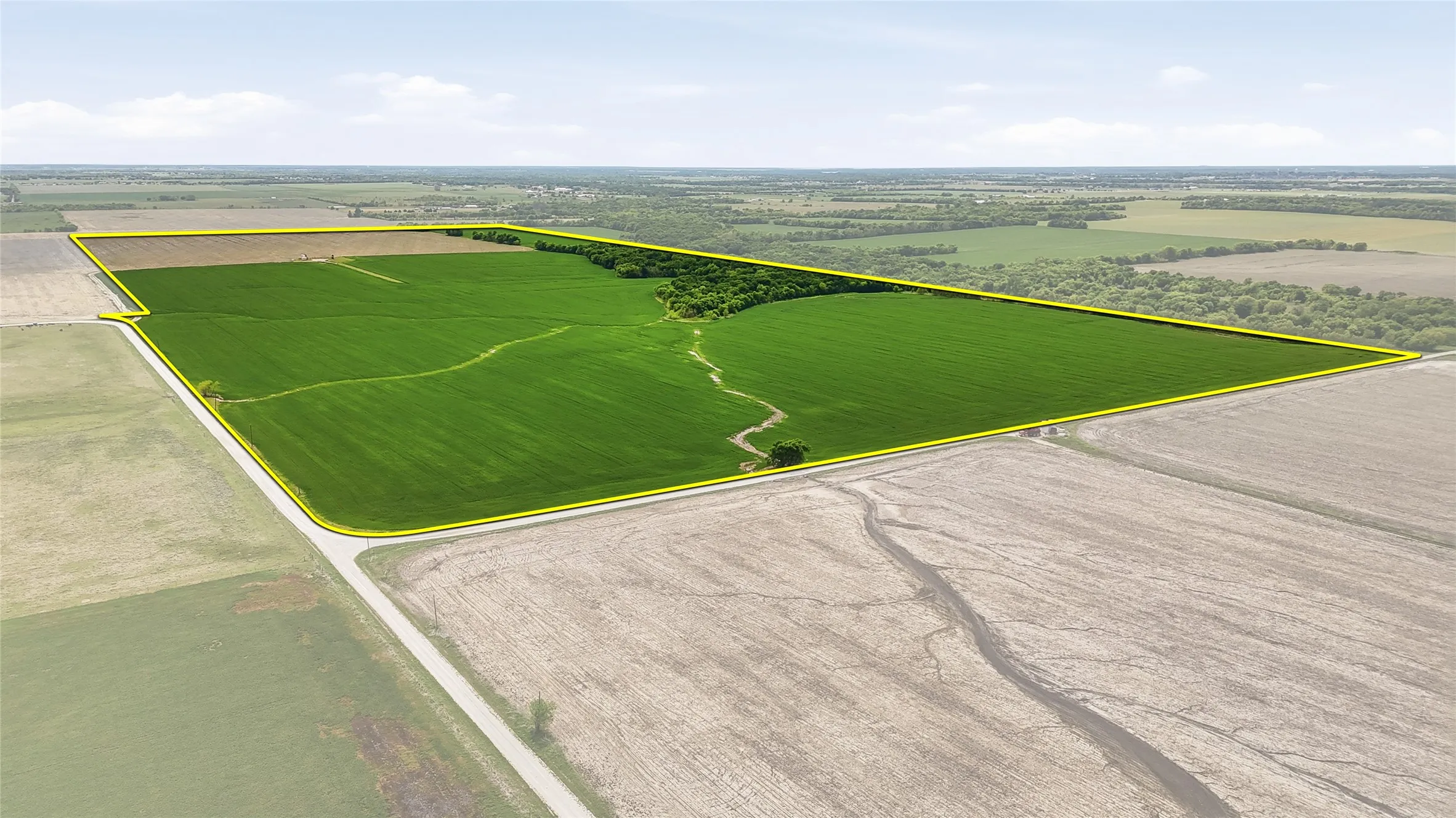 Unimproved Land For Sale in Grayson County , TBD Davis Road, Whitesboro, Texas 76273, 0, 0, Garage spaces, 0 Sqft, built in 0, mls#21232417, Real Estate Agent in Whitesboro, Homes For Sale in Grayson county, Homes For Sale in Whitesboro, Realtor in Whitesboro Texas, Real Estate Brokerage Independent Realty Texas, Luminita Cordes Realtor