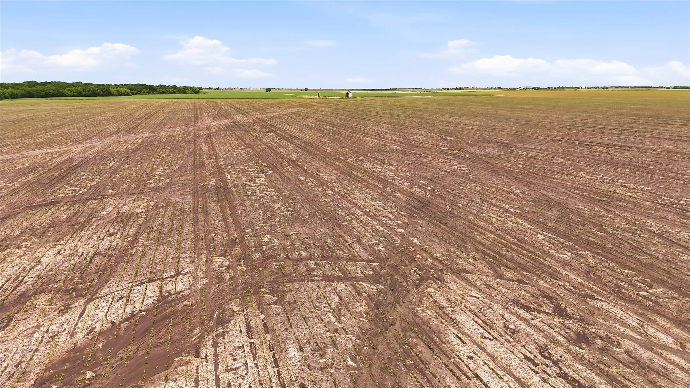 Unimproved Land For Sale in Grayson County , TBD Davis Road, Whitesboro, Texas 76273, 0, 0, Garage spaces, 0 Sqft, built in 0, mls#21232417, Real Estate Agent in Whitesboro, Homes For Sale in Grayson county, Homes For Sale in Whitesboro, Realtor in Whitesboro Texas, Real Estate Brokerage Independent Realty Texas, Luminita Cordes Realtor