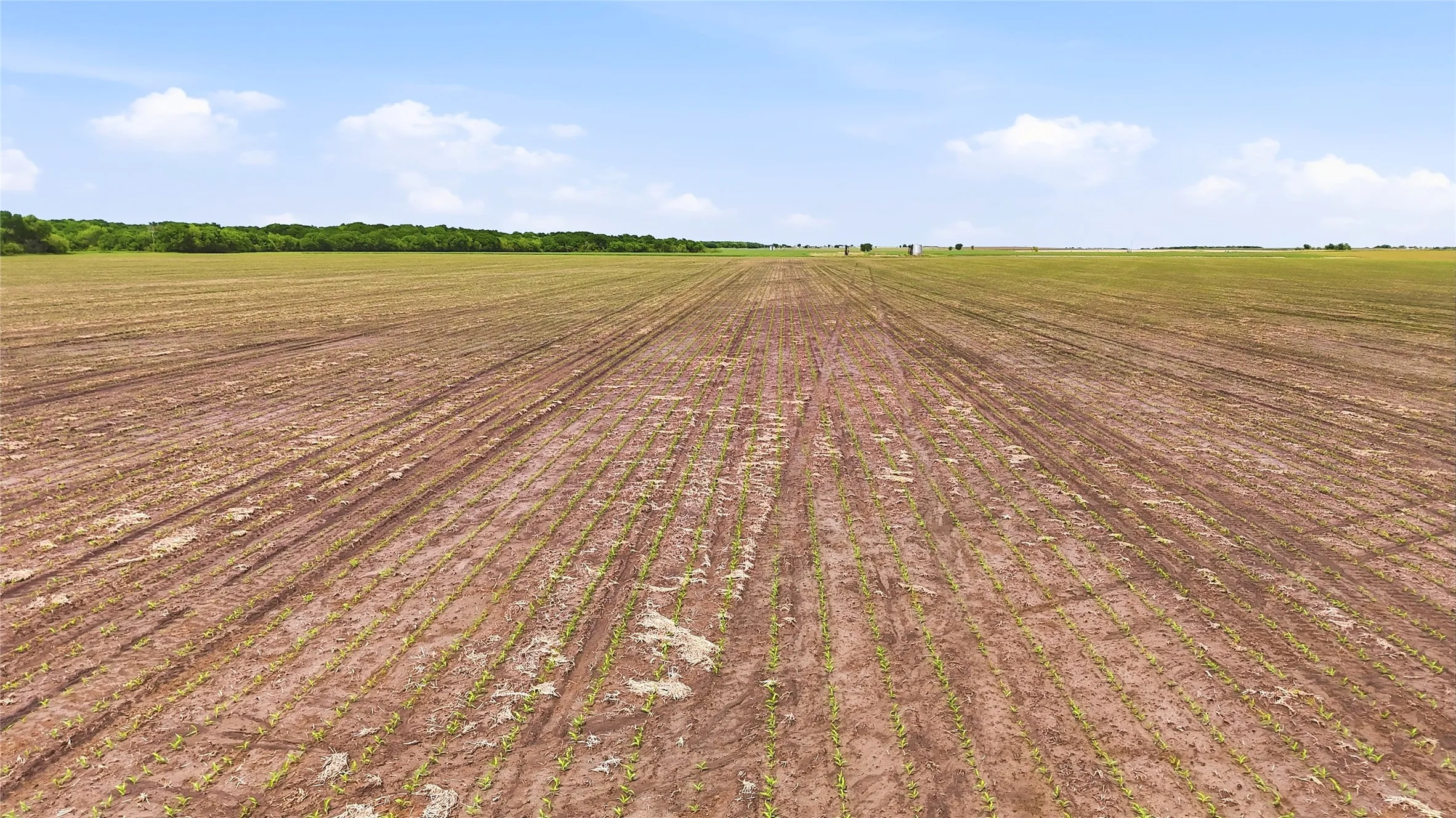 Unimproved Land For Sale in Grayson County , TBD Davis Road, Whitesboro, Texas 76273, 0, 0, Garage spaces, 0 Sqft, built in 0, mls#21232417, Real Estate Agent in Whitesboro, Homes For Sale in Grayson county, Homes For Sale in Whitesboro, Realtor in Whitesboro Texas, Real Estate Brokerage Independent Realty Texas, Luminita Cordes Realtor