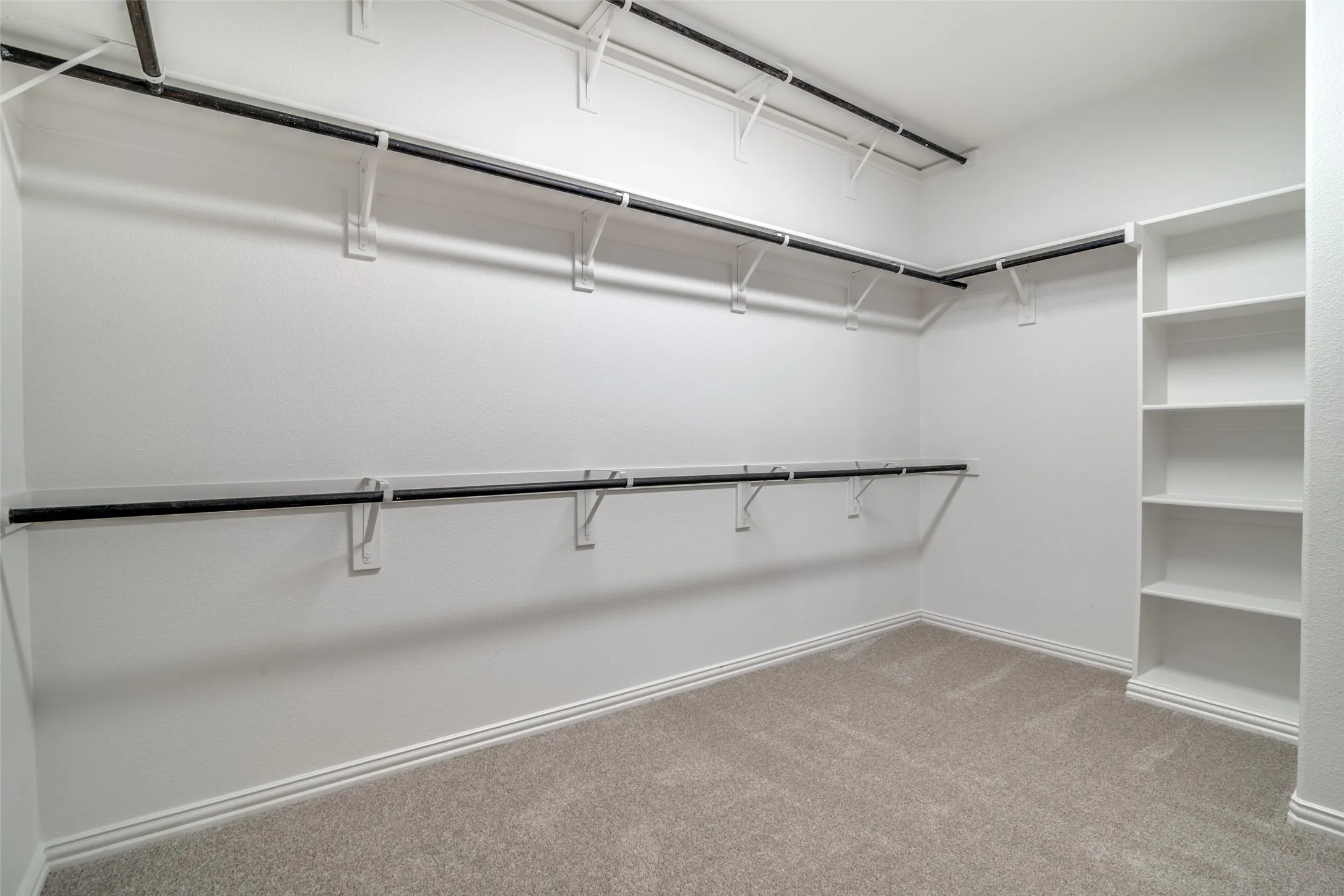 Another view of the primary bedroom walk in closet with carpet floors and built in shelves