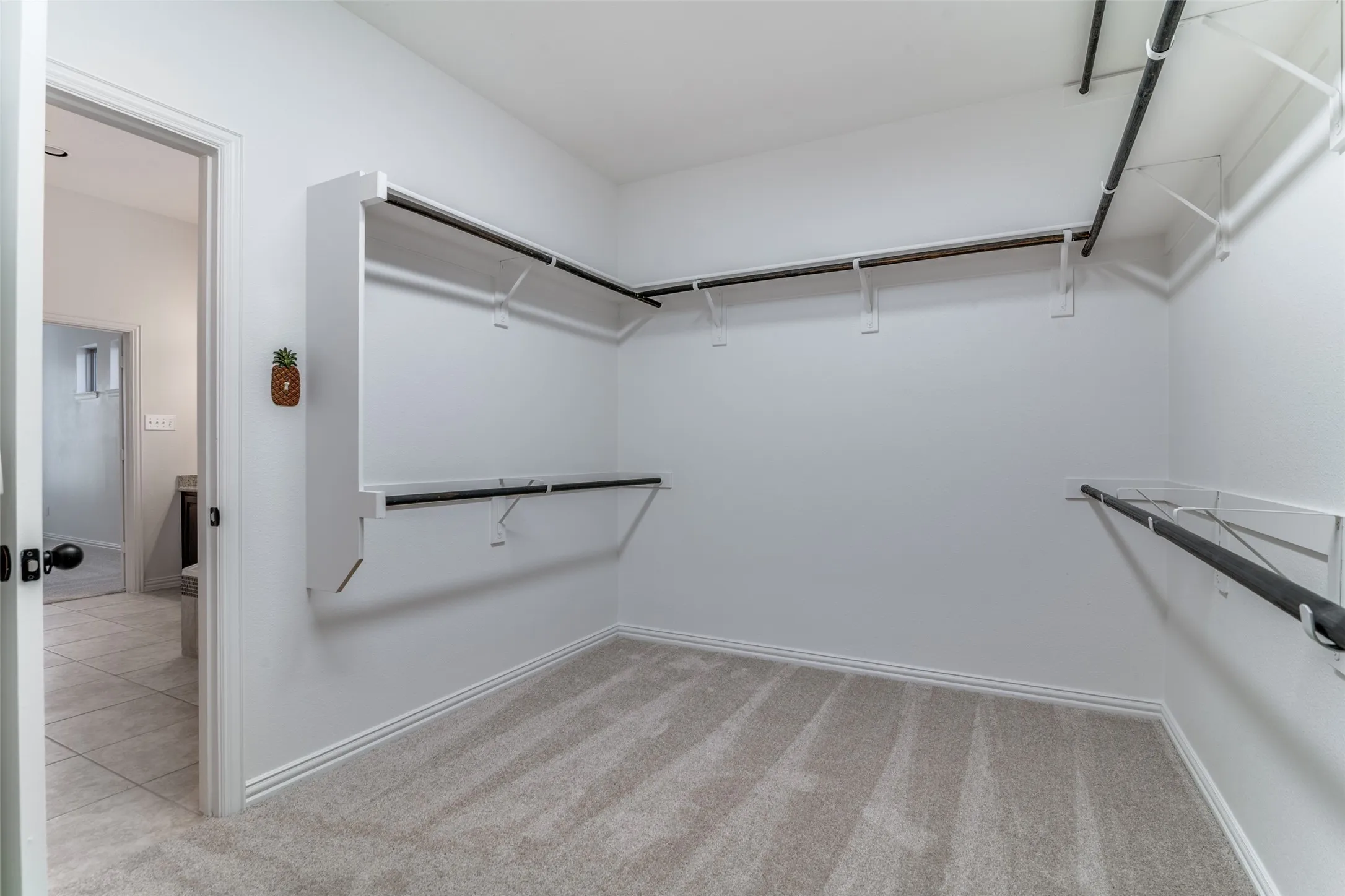 Primary bedroom walk in closet with light colored carpet and three levels for clothes