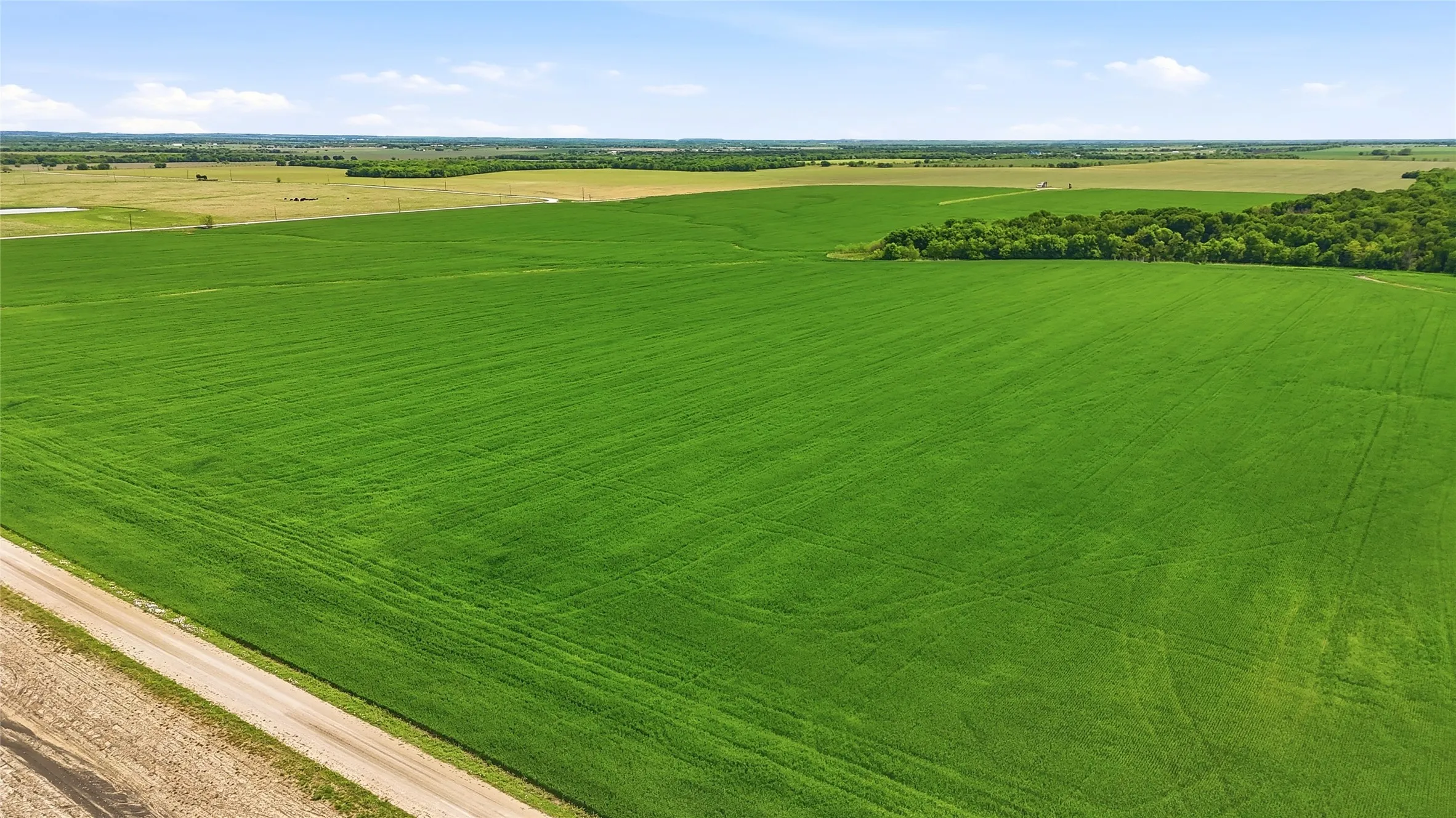 Unimproved Land For Sale in Grayson County , 200+ Acres Davis Road, Whitesboro, Texas 76273, 0, 0, Garage spaces, 0 Sqft, built in 0, Price $5,626,880, mls#21234351, Real Estate Agent in Whitesboro, Homes For Sale in Grayson county, Homes For Sale in Whitesboro, Realtor in Whitesboro Texas, Real Estate Brokerage Independent Realty Texas, Luminita Cordes Realtor