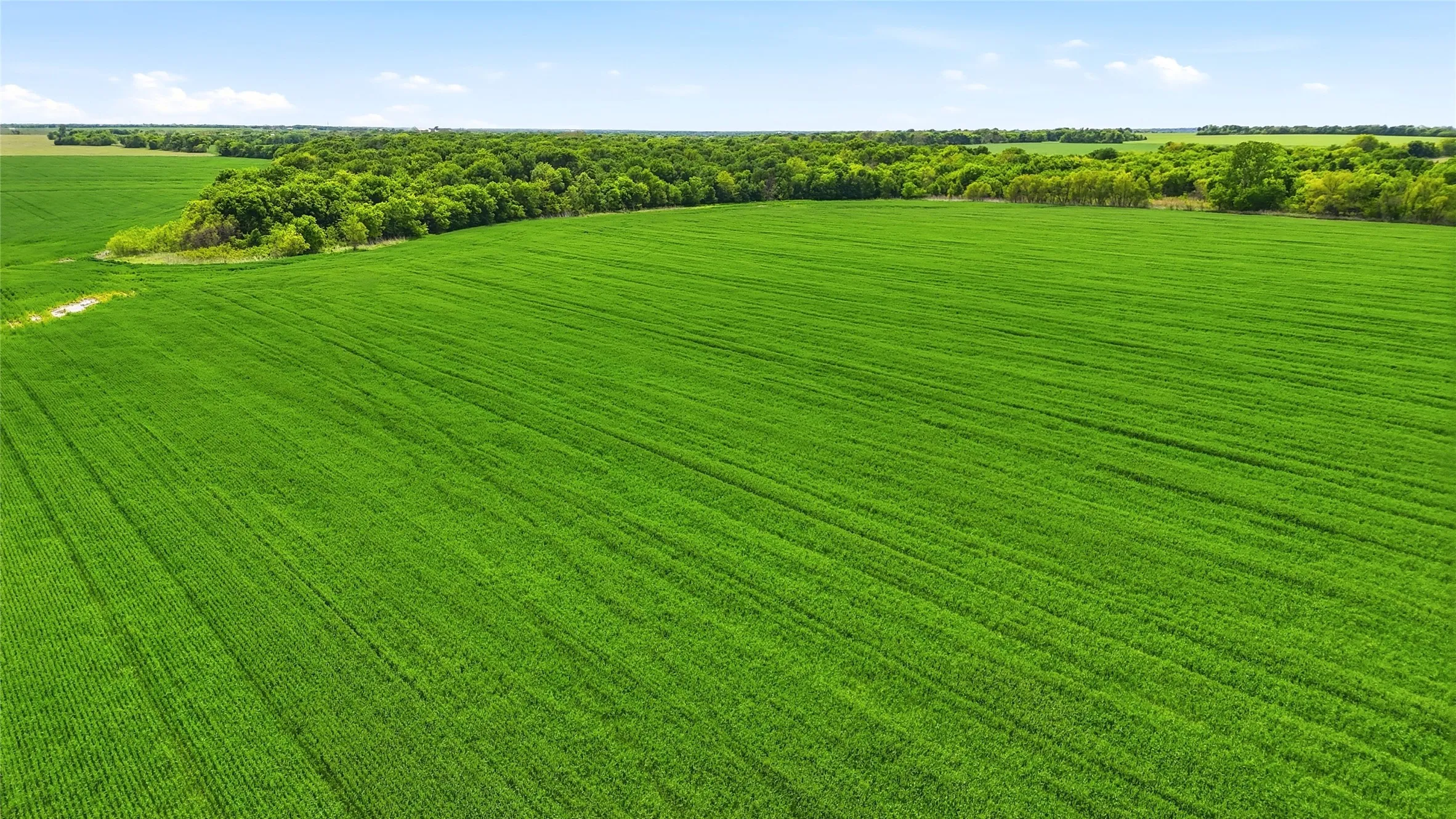 Unimproved Land For Sale in Grayson County , 200+ Acres Davis Road, Whitesboro, Texas 76273, 0, 0, Garage spaces, 0 Sqft, built in 0, Price $5,626,880, mls#21234351, Real Estate Agent in Whitesboro, Homes For Sale in Grayson county, Homes For Sale in Whitesboro, Realtor in Whitesboro Texas, Real Estate Brokerage Independent Realty Texas, Luminita Cordes Realtor