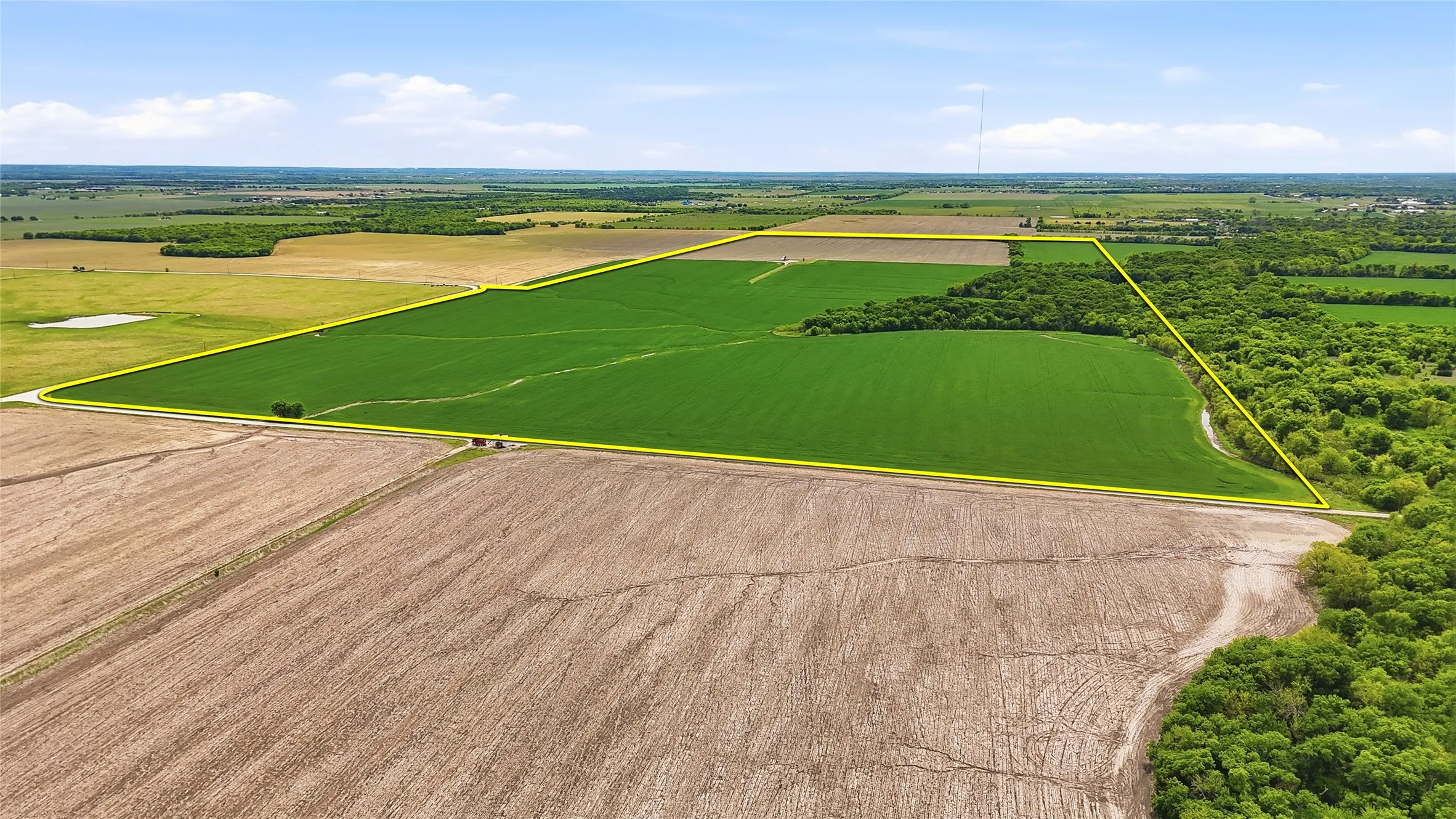 Unimproved Land For Sale in Grayson County , 200+ Acres Davis Road, Whitesboro, Texas 76273, 0, 0, Garage spaces, 0 Sqft, built in 0, Price $5,626,880, mls#21234351, Real Estate Agent in Whitesboro, Homes For Sale in Grayson county, Homes For Sale in Whitesboro, Realtor in Whitesboro Texas, Real Estate Brokerage Independent Realty Texas, Luminita Cordes Realtor