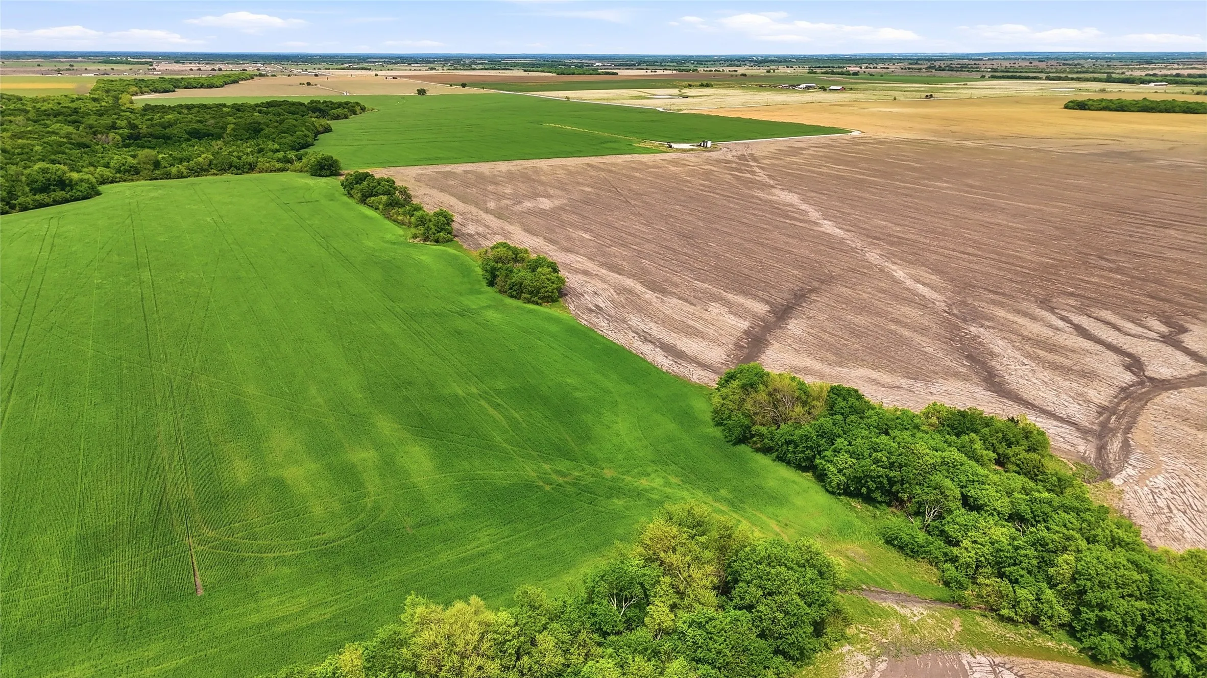 Unimproved Land For Sale in Grayson County , 200+ Acres Davis Road, Whitesboro, Texas 76273, 0, 0, Garage spaces, 0 Sqft, built in 0, Price $5,626,880, mls#21234351, Real Estate Agent in Whitesboro, Homes For Sale in Grayson county, Homes For Sale in Whitesboro, Realtor in Whitesboro Texas, Real Estate Brokerage Independent Realty Texas, Luminita Cordes Realtor