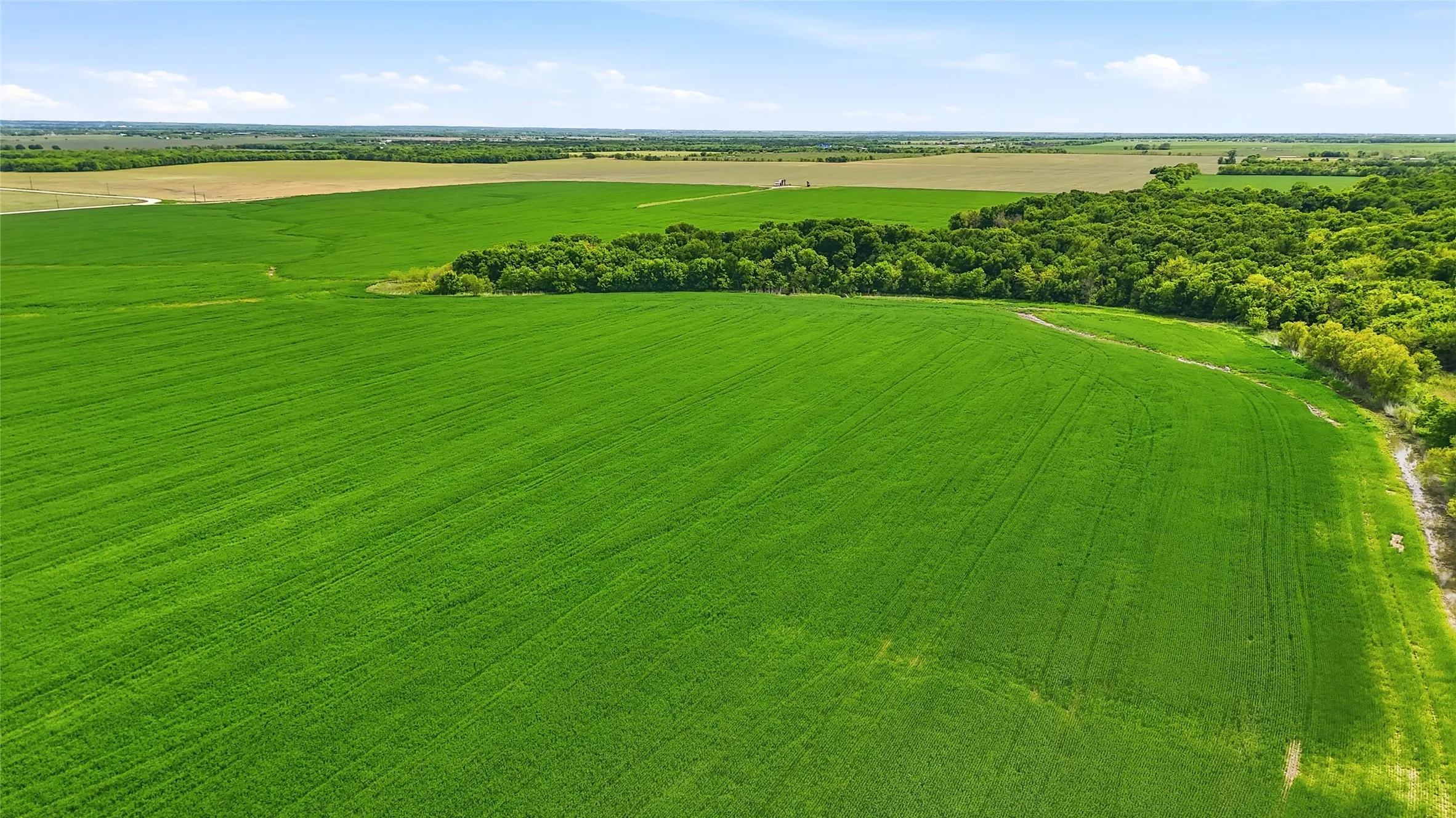 Unimproved Land For Sale in Grayson County , 200+ Acres Davis Road, Whitesboro, Texas 76273, 0, 0, Garage spaces, 0 Sqft, built in 0, Price $5,626,880, mls#21234351, Real Estate Agent in Whitesboro, Homes For Sale in Grayson county, Homes For Sale in Whitesboro, Realtor in Whitesboro Texas, Real Estate Brokerage Independent Realty Texas, Luminita Cordes Realtor