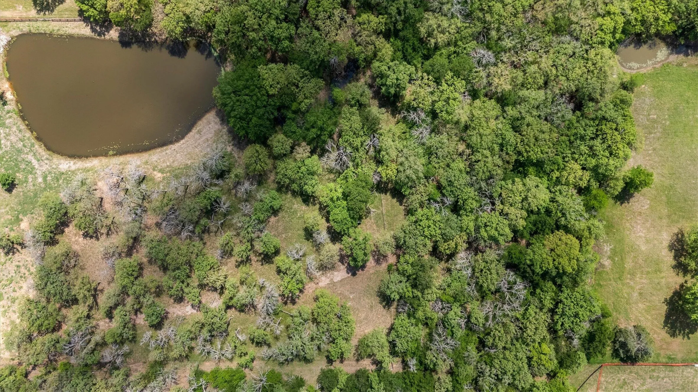 Unimproved Land For Sale in Denton County , 149 W Fm 1830, Argyle, Texas 76226, 0, 0, Garage spaces, 0 Sqft, built in 0, Price $2,249,995, mls#21234384, Real Estate Agent in Argyle, Homes For Sale in Denton county, Homes For Sale in Argyle, Realtor in Argyle Texas, Real Estate Brokerage Independent Realty Texas, Luminita Cordes Realtor