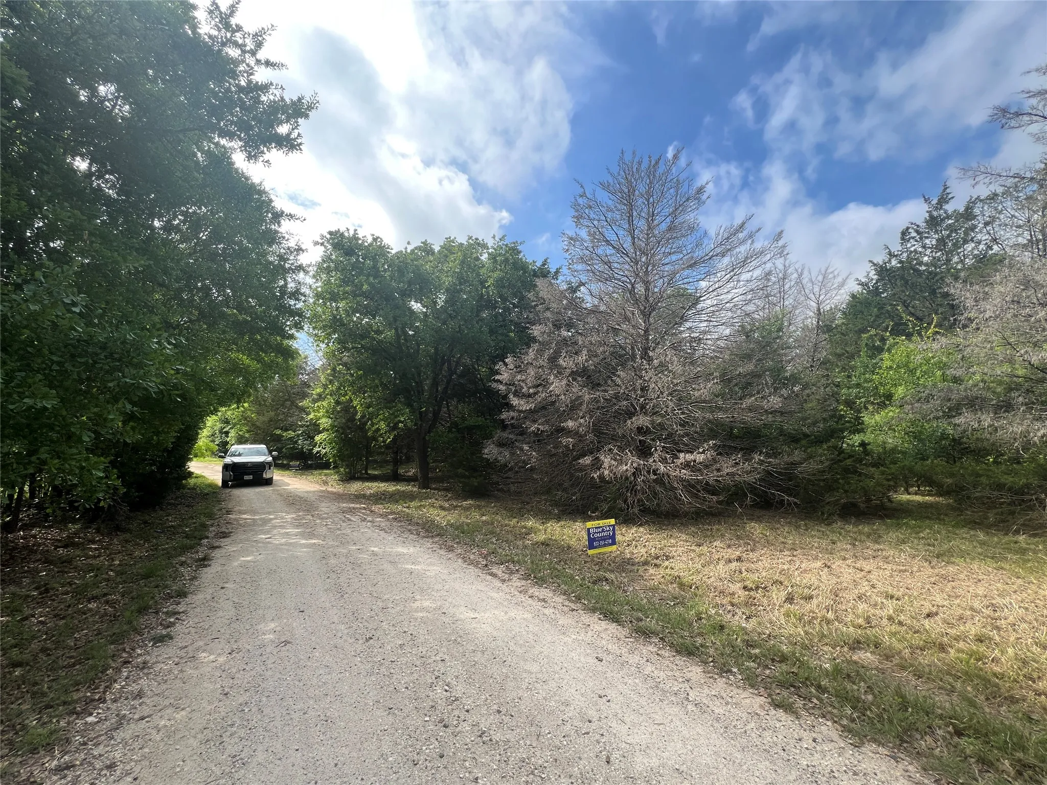 Unimproved Land For Sale in Navarro County , L194-195 NW County Road 3112, Purdon, Texas 76679, 0, 0, Garage spaces, 0 Sqft, built in 0, Price $38,500, mls#21234568, Real Estate Agent in Purdon, Homes For Sale in Navarro county, Homes For Sale in Purdon, Realtor in Purdon Texas, Real Estate Brokerage Independent Realty Texas, Luminita Cordes Realtor