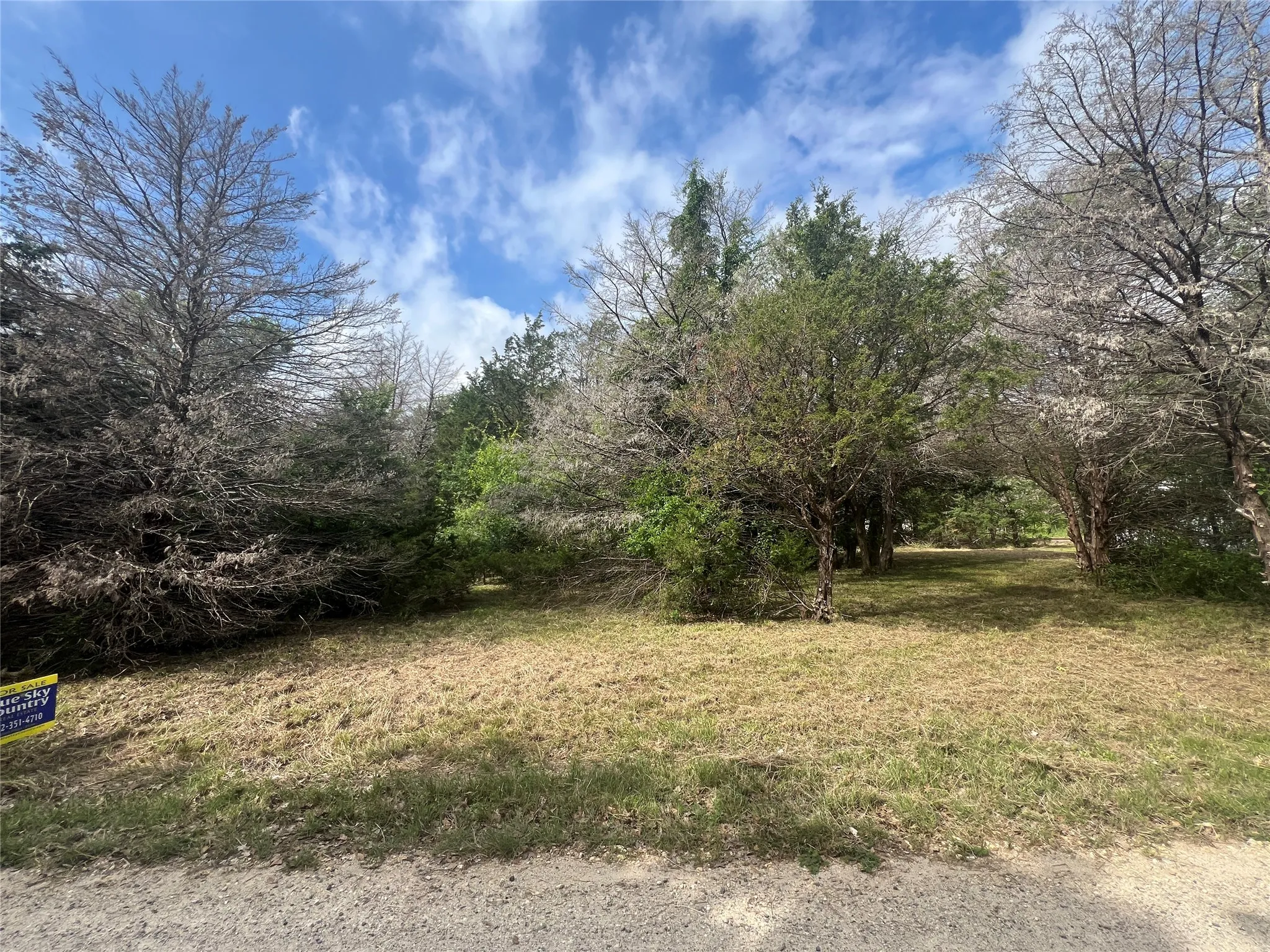 Unimproved Land For Sale in Navarro County , L194-195 NW County Road 3112, Purdon, Texas 76679, 0, 0, Garage spaces, 0 Sqft, built in 0, Price $38,500, mls#21234568, Real Estate Agent in Purdon, Homes For Sale in Navarro county, Homes For Sale in Purdon, Realtor in Purdon Texas, Real Estate Brokerage Independent Realty Texas, Luminita Cordes Realtor
