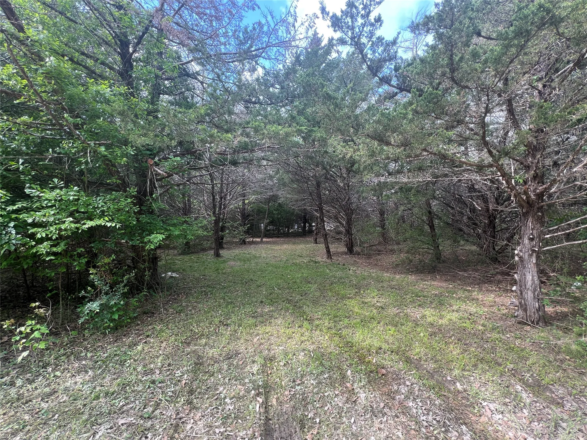 Unimproved Land For Sale in Navarro County , L194-195 NW County Road 3112, Purdon, Texas 76679, 0, 0, Garage spaces, 0 Sqft, built in 0, Price $38,500, mls#21234568, Real Estate Agent in Purdon, Homes For Sale in Navarro county, Homes For Sale in Purdon, Realtor in Purdon Texas, Real Estate Brokerage Independent Realty Texas, Luminita Cordes Realtor