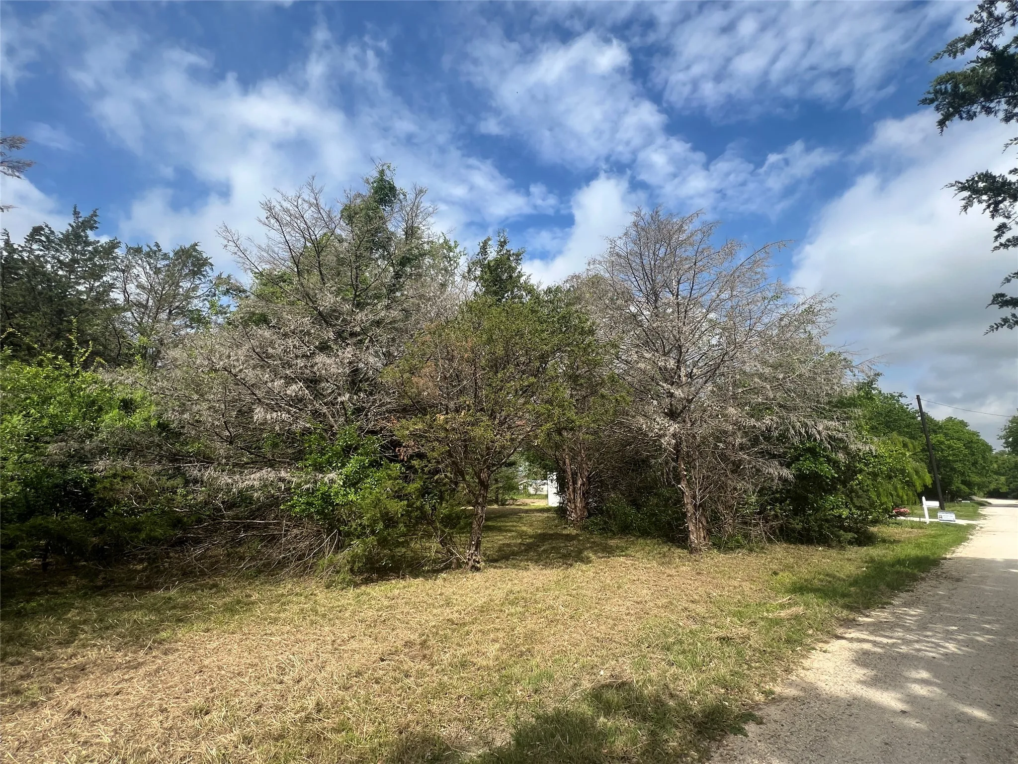 Unimproved Land For Sale in Navarro County , L194-195 NW County Road 3112, Purdon, Texas 76679, 0, 0, Garage spaces, 0 Sqft, built in 0, Price $38,500, mls#21234568, Real Estate Agent in Purdon, Homes For Sale in Navarro county, Homes For Sale in Purdon, Realtor in Purdon Texas, Real Estate Brokerage Independent Realty Texas, Luminita Cordes Realtor