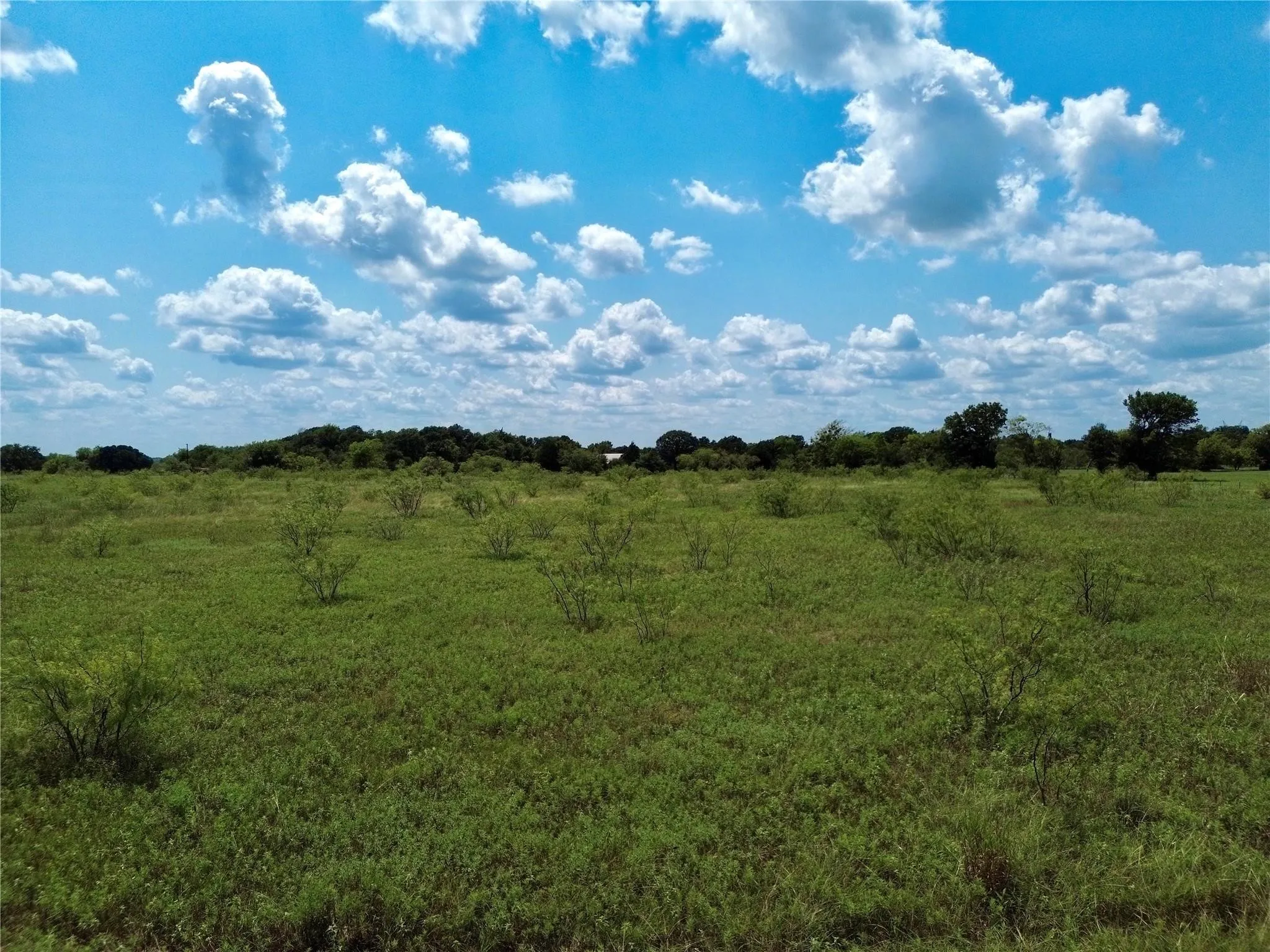 Unimproved Land For Sale in Kaufman County , 0 Farm to Market Road 1836 Lot 2, Kaufman, Texas 75142, 0, 0, Garage spaces, 0 Sqft, built in 0, Price $109,000, mls#21234602, Real Estate Agent in Kaufman, Homes For Sale in Kaufman county, Homes For Sale in Kaufman, Realtor in Kaufman Texas, Real Estate Brokerage Independent Realty Texas, Luminita Cordes Realtor