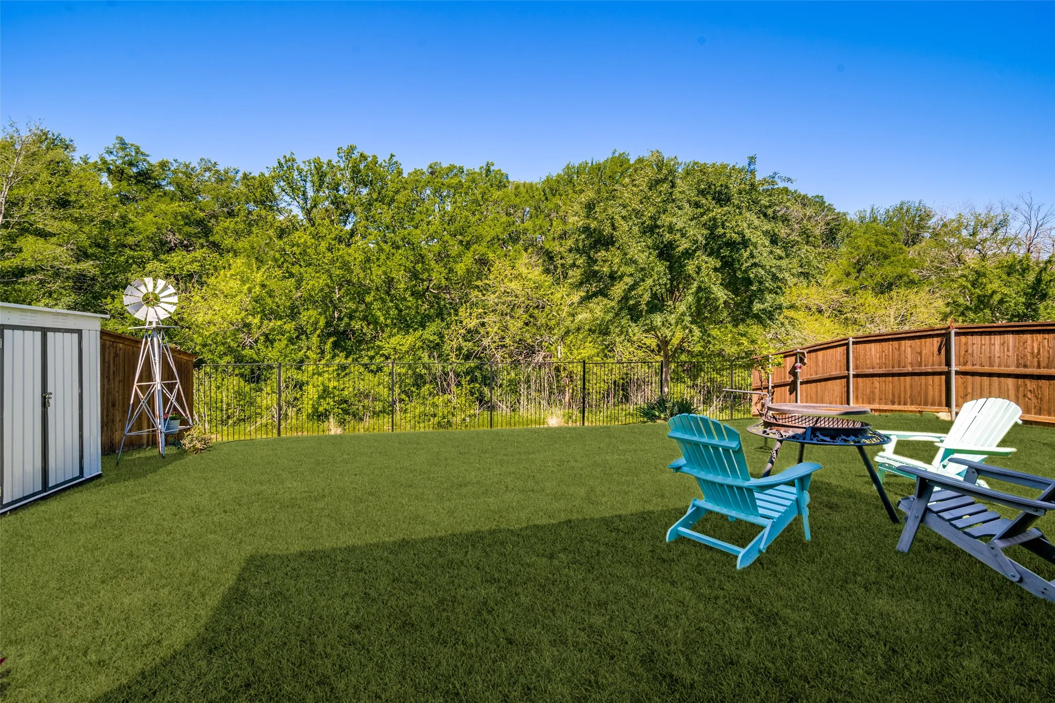 Backyard from house