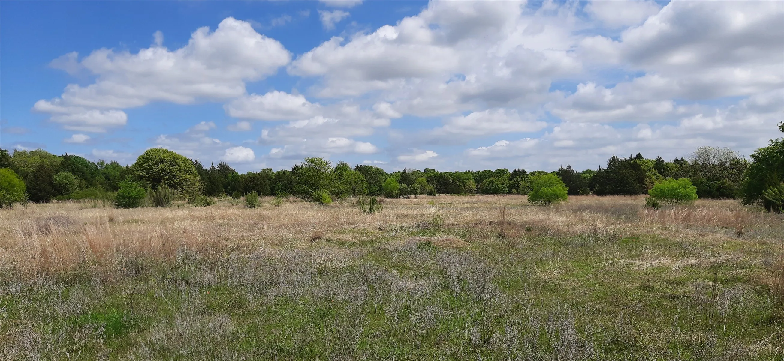 Ranch For Sale in Wise County , TBD County Road 2644, Decatur, Texas 76234, 0, 0, Garage spaces, 0 Sqft, built in 0, mls#21234784, Real Estate Agent in Decatur, Homes For Sale in Wise county, Homes For Sale in Decatur, Realtor in Decatur Texas, Real Estate Brokerage Independent Realty Texas, Luminita Cordes Realtor