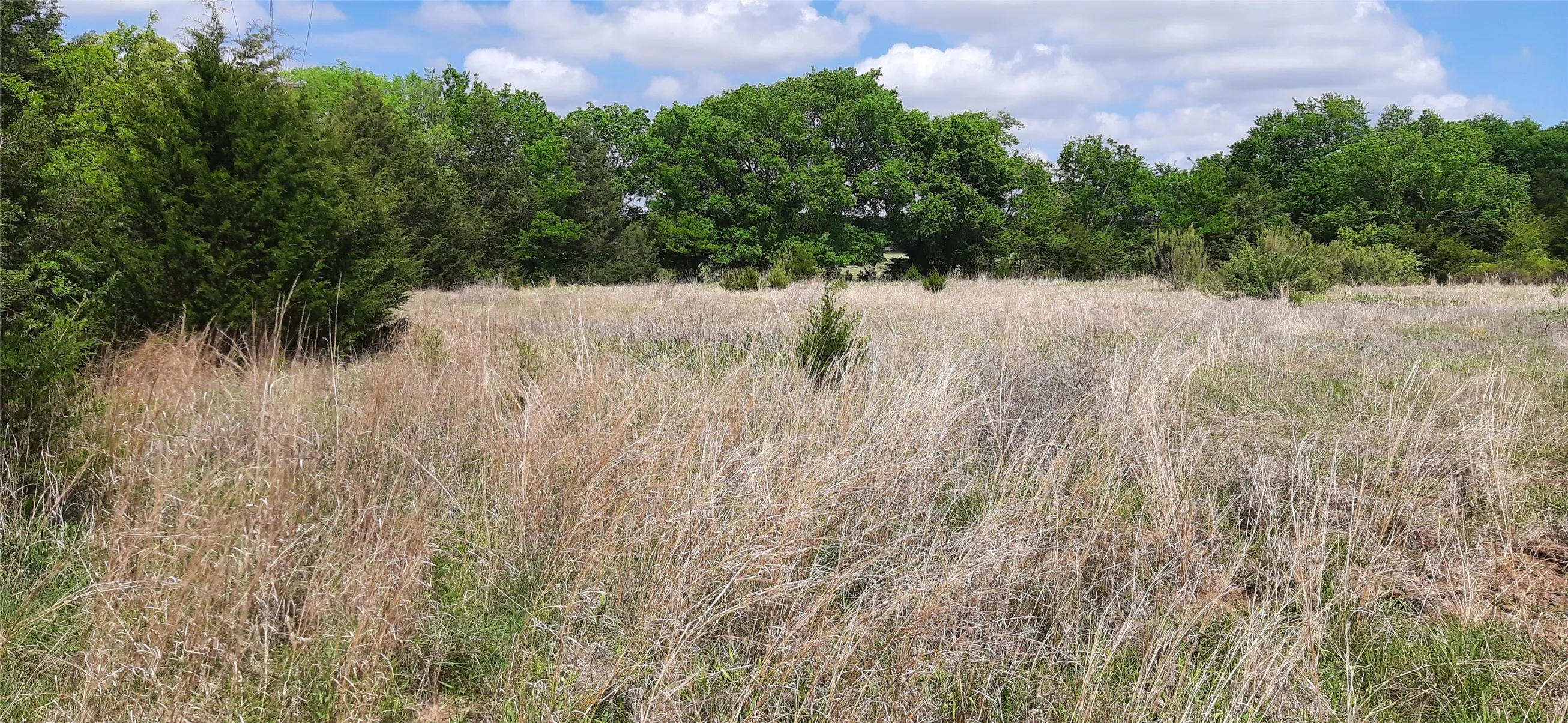 Ranch For Sale in Wise County , TBD County Road 2644, Decatur, Texas 76234, 0, 0, Garage spaces, 0 Sqft, built in 0, mls#21234784, Real Estate Agent in Decatur, Homes For Sale in Wise county, Homes For Sale in Decatur, Realtor in Decatur Texas, Real Estate Brokerage Independent Realty Texas, Luminita Cordes Realtor