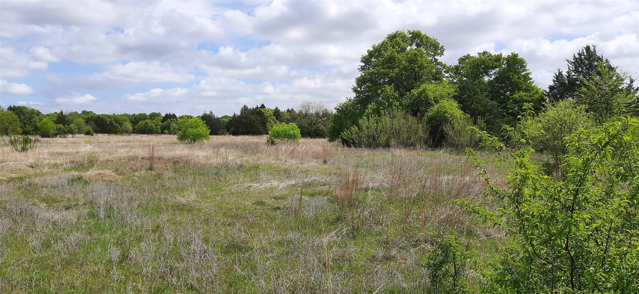 Ranch For Sale in Wise County , TBD County Road 2644, Decatur, Texas 76234, 0, 0, Garage spaces, 0 Sqft, built in 0, mls#21234784, Real Estate Agent in Decatur, Homes For Sale in Wise county, Homes For Sale in Decatur, Realtor in Decatur Texas, Real Estate Brokerage Independent Realty Texas, Luminita Cordes Realtor
