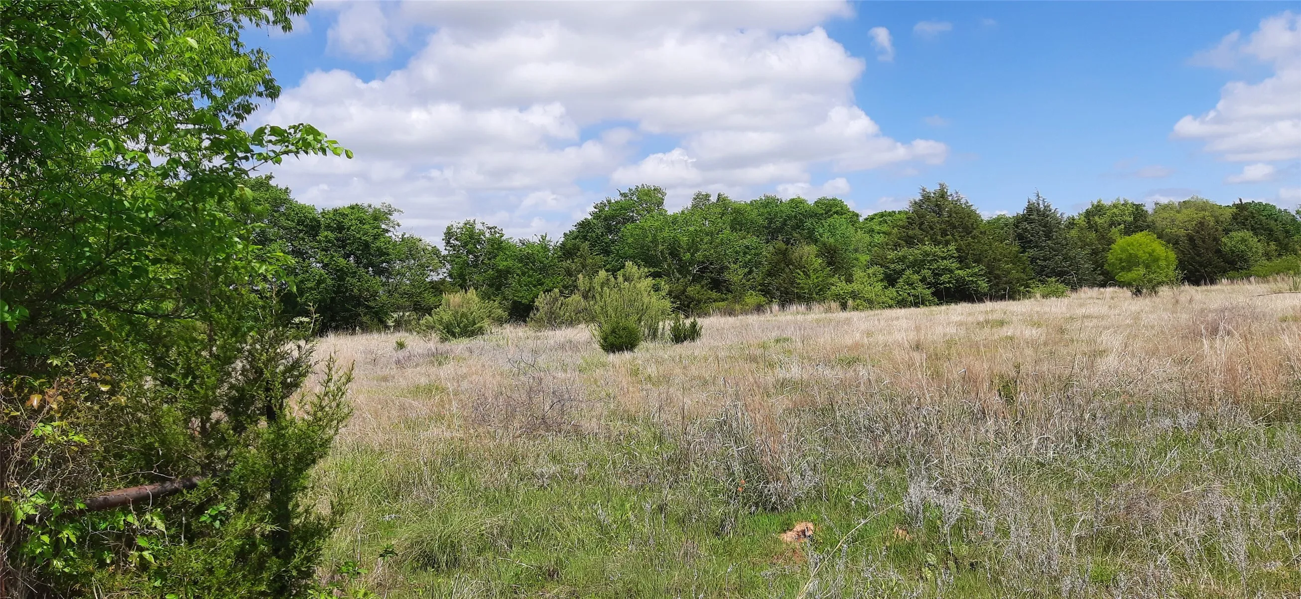 Ranch For Sale in Wise County , TBD County Road 2644, Decatur, Texas 76234, 0, 0, Garage spaces, 0 Sqft, built in 0, mls#21234784, Real Estate Agent in Decatur, Homes For Sale in Wise county, Homes For Sale in Decatur, Realtor in Decatur Texas, Real Estate Brokerage Independent Realty Texas, Luminita Cordes Realtor