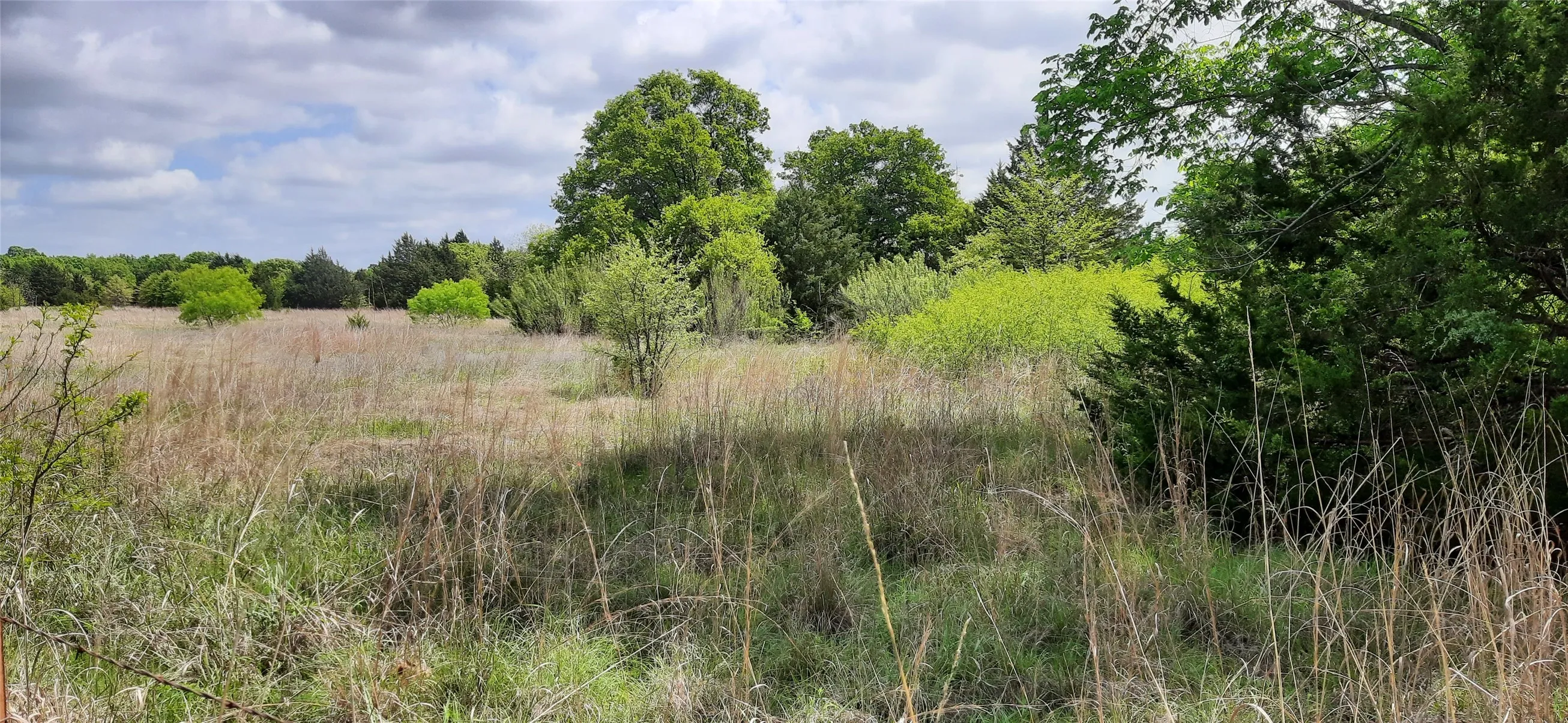 Ranch For Sale in Wise County , TBD County Road 2644, Decatur, Texas 76234, 0, 0, Garage spaces, 0 Sqft, built in 0, mls#21234784, Real Estate Agent in Decatur, Homes For Sale in Wise county, Homes For Sale in Decatur, Realtor in Decatur Texas, Real Estate Brokerage Independent Realty Texas, Luminita Cordes Realtor
