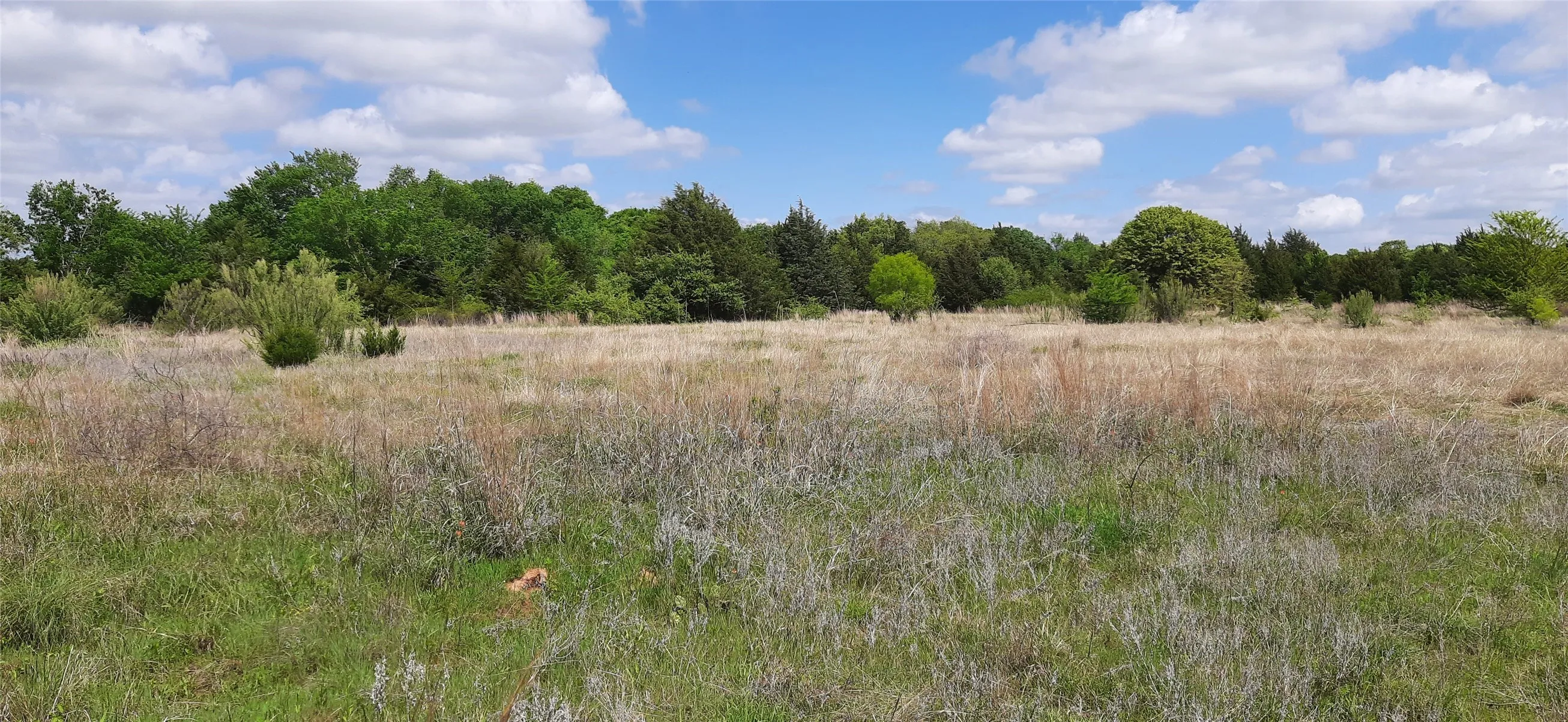 Ranch For Sale in Wise County , TBD County Road 2644, Decatur, Texas 76234, 0, 0, Garage spaces, 0 Sqft, built in 0, mls#21234784, Real Estate Agent in Decatur, Homes For Sale in Wise county, Homes For Sale in Decatur, Realtor in Decatur Texas, Real Estate Brokerage Independent Realty Texas, Luminita Cordes Realtor