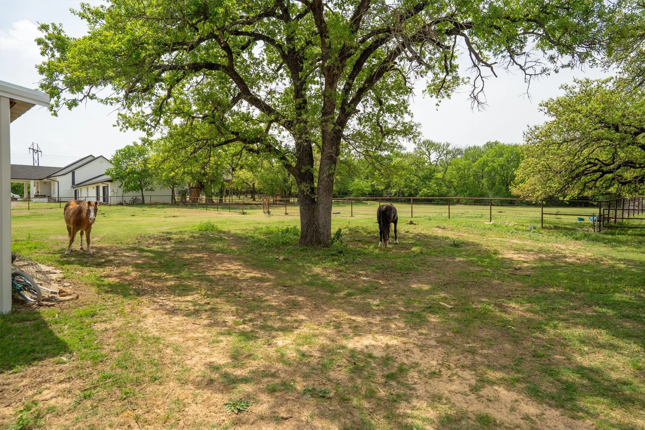 Single Family Residence For Sale in Denton County , 660 Chinn Chapel Road, Copper Canyon, Texas 75077, 4 Bedroom, 3 Bathroom, 2 Garage spaces, 2,423 Sqft, built in 1961, mls#21233596, Real Estate Agent in Copper Canyon, Homes For Sale in Denton county, Homes For Sale in Copper Canyon, Realtor in Copper Canyon Texas, Real Estate Brokerage Independent Realty Texas, Luminita Cordes Realtor
