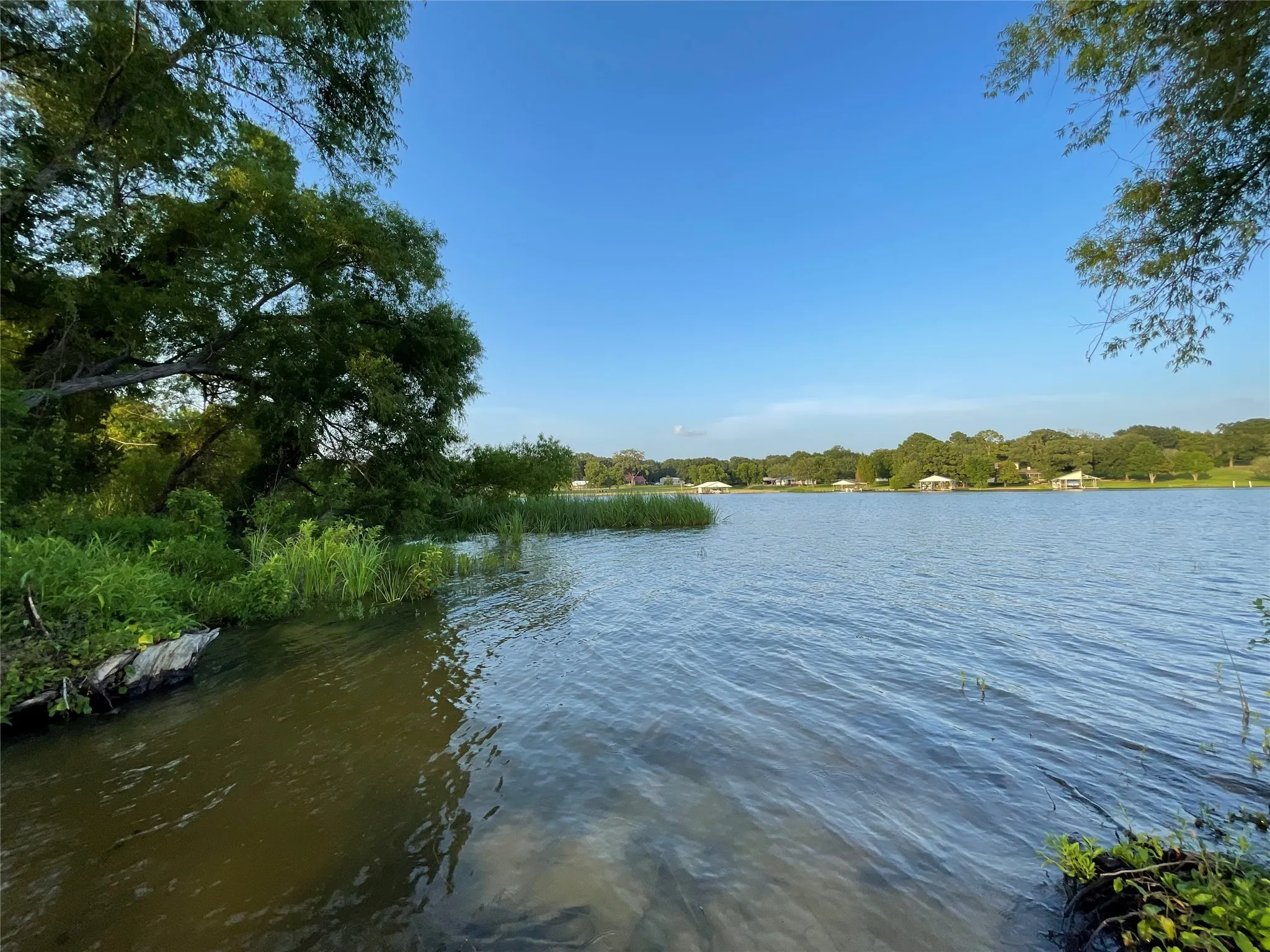 Unimproved Land For Sale in Henderson County , 7840 Ranchette Road, Eustace, Texas 75124, 0, 0, Garage spaces, 0 Sqft, built in 0, mls#21211275, Real Estate Agent in Eustace, Homes For Sale in Henderson county, Homes For Sale in Eustace, Realtor in Eustace Texas, Real Estate Brokerage Independent Realty Texas, Luminita Cordes Realtor