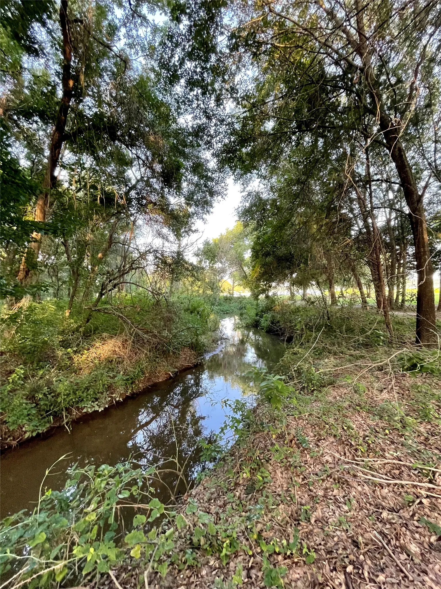 Unimproved Land For Sale in Henderson County , 7840 Ranchette Road, Eustace, Texas 75124, 0, 0, Garage spaces, 0 Sqft, built in 0, mls#21211275, Real Estate Agent in Eustace, Homes For Sale in Henderson county, Homes For Sale in Eustace, Realtor in Eustace Texas, Real Estate Brokerage Independent Realty Texas, Luminita Cordes Realtor
