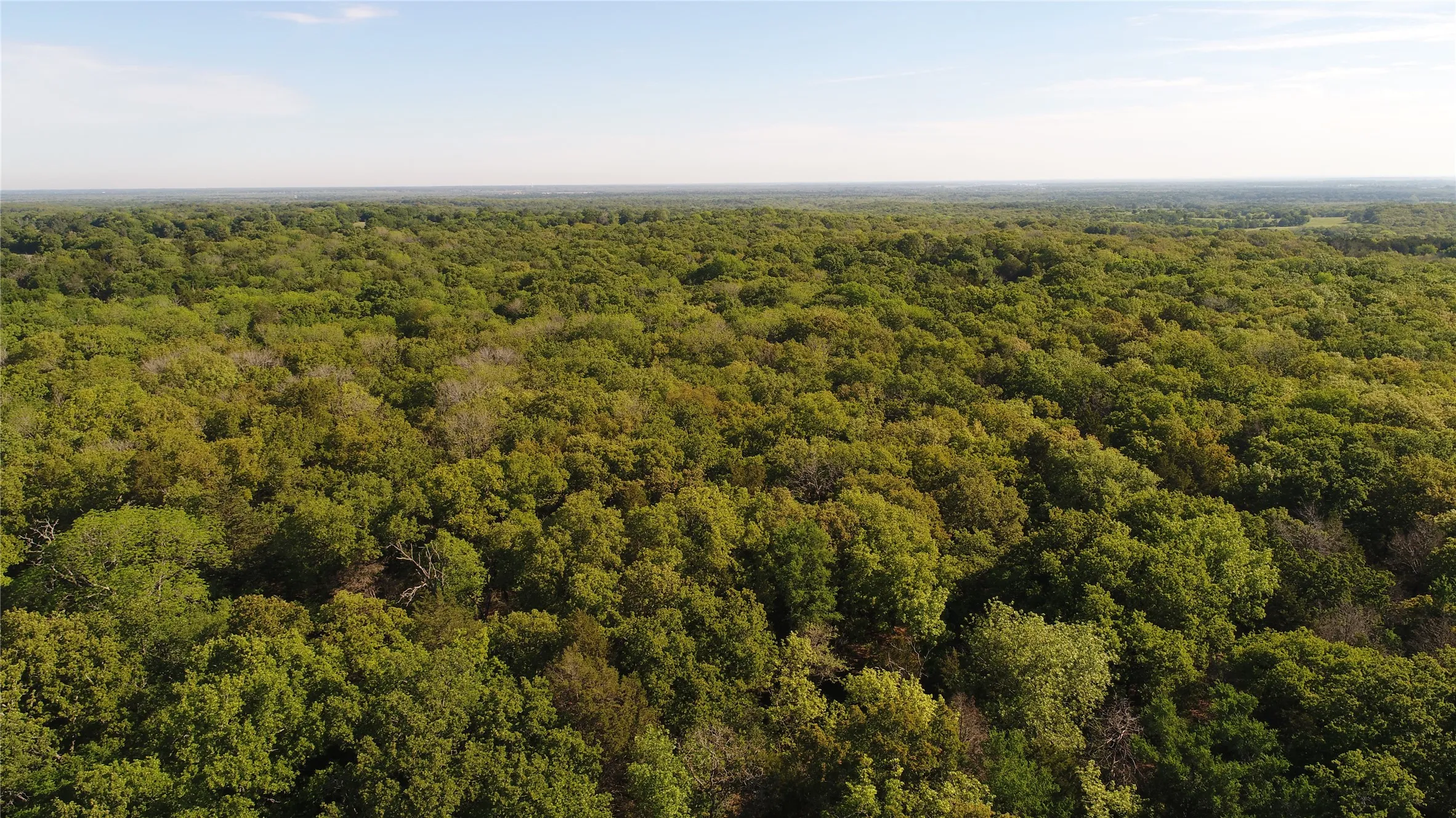 Ranch For Sale in Navarro County , TBD 3016, Kerens, Texas 75144, 0, 0, Garage spaces, 0 Sqft, built in 0, mls#21231315, Real Estate Agent in Kerens, Homes For Sale in Navarro county, Homes For Sale in Kerens, Realtor in Kerens Texas, Real Estate Brokerage Independent Realty Texas, Luminita Cordes Realtor