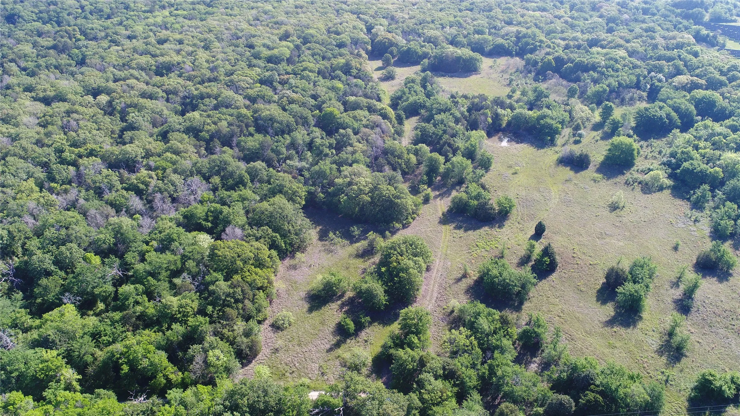 Ranch For Sale in Navarro County , TBD 3016, Kerens, Texas 75144, 0, 0, Garage spaces, 0 Sqft, built in 0, mls#21231315, Real Estate Agent in Kerens, Homes For Sale in Navarro county, Homes For Sale in Kerens, Realtor in Kerens Texas, Real Estate Brokerage Independent Realty Texas, Luminita Cordes Realtor