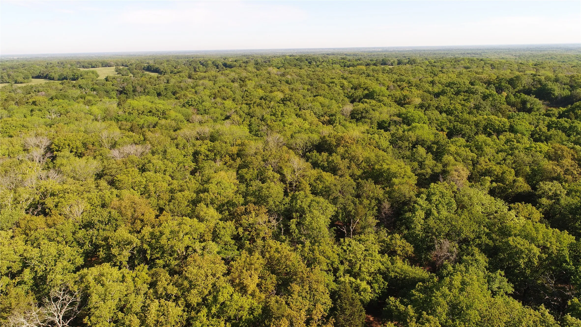 Ranch For Sale in Navarro County , TBD 3016, Kerens, Texas 75144, 0, 0, Garage spaces, 0 Sqft, built in 0, mls#21231315, Real Estate Agent in Kerens, Homes For Sale in Navarro county, Homes For Sale in Kerens, Realtor in Kerens Texas, Real Estate Brokerage Independent Realty Texas, Luminita Cordes Realtor