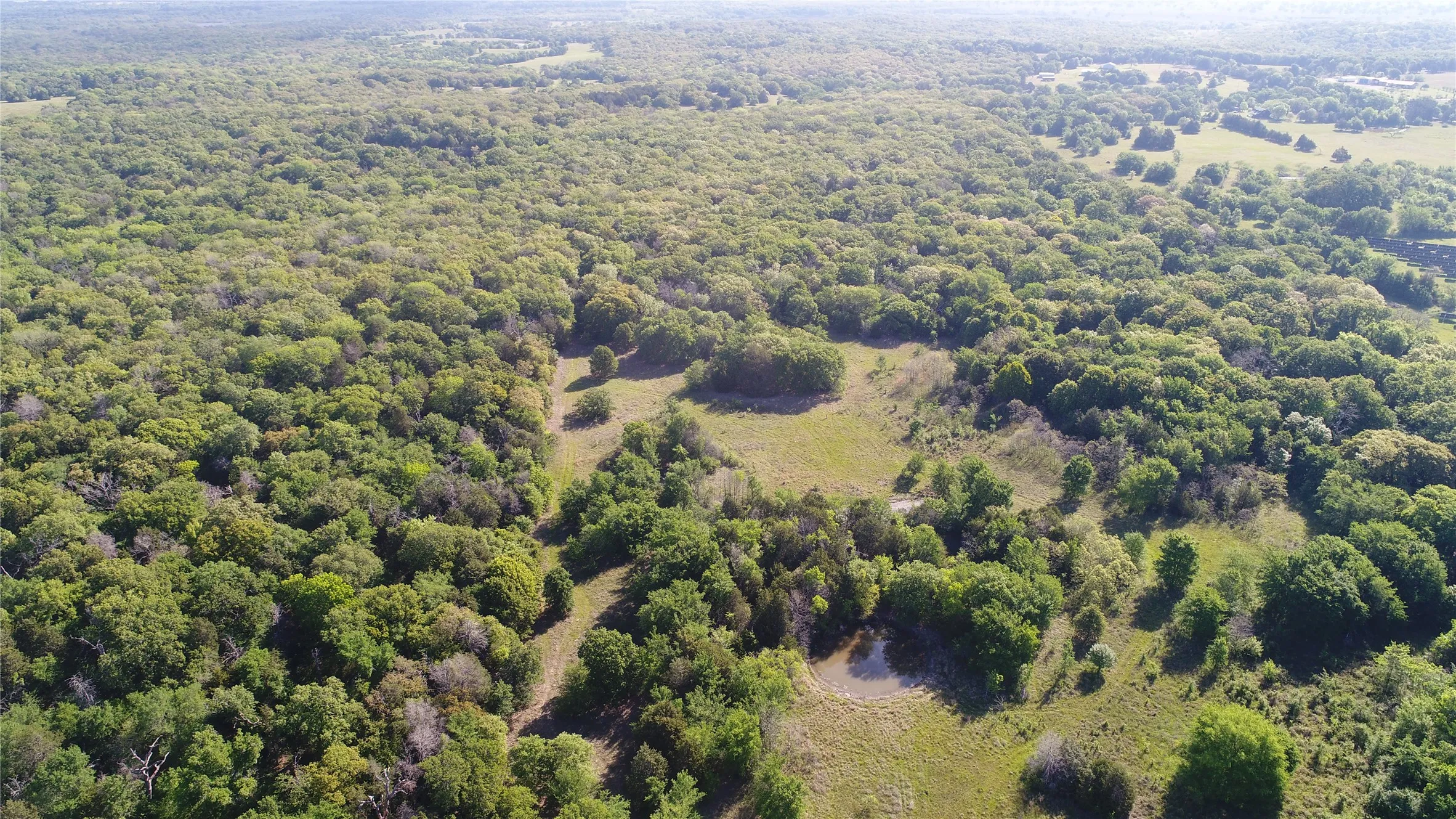 Ranch For Sale in Navarro County , TBD 3016, Kerens, Texas 75144, 0, 0, Garage spaces, 0 Sqft, built in 0, mls#21231315, Real Estate Agent in Kerens, Homes For Sale in Navarro county, Homes For Sale in Kerens, Realtor in Kerens Texas, Real Estate Brokerage Independent Realty Texas, Luminita Cordes Realtor