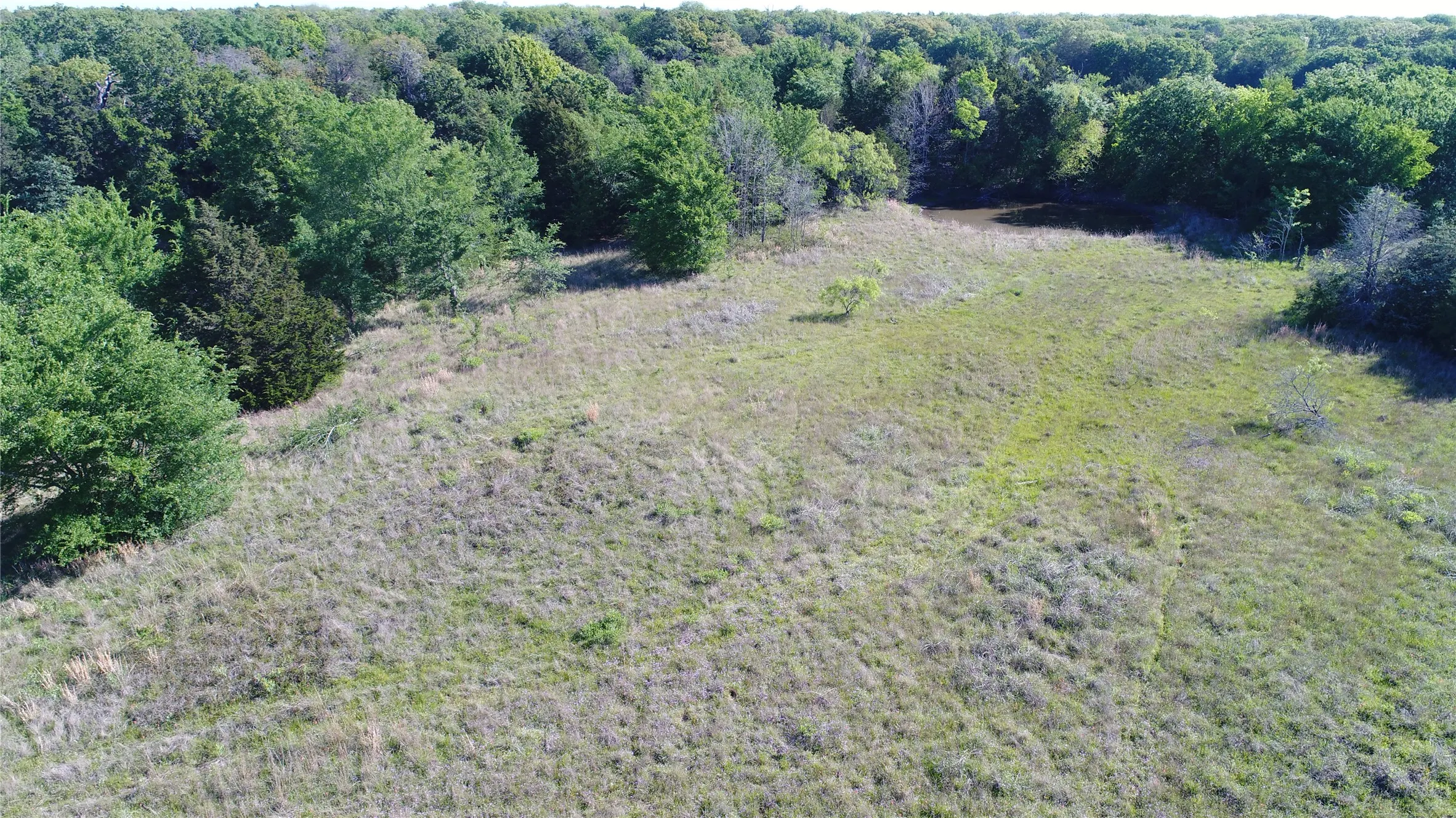 Ranch For Sale in Navarro County , TBD 3016, Kerens, Texas 75144, 0, 0, Garage spaces, 0 Sqft, built in 0, mls#21231315, Real Estate Agent in Kerens, Homes For Sale in Navarro county, Homes For Sale in Kerens, Realtor in Kerens Texas, Real Estate Brokerage Independent Realty Texas, Luminita Cordes Realtor